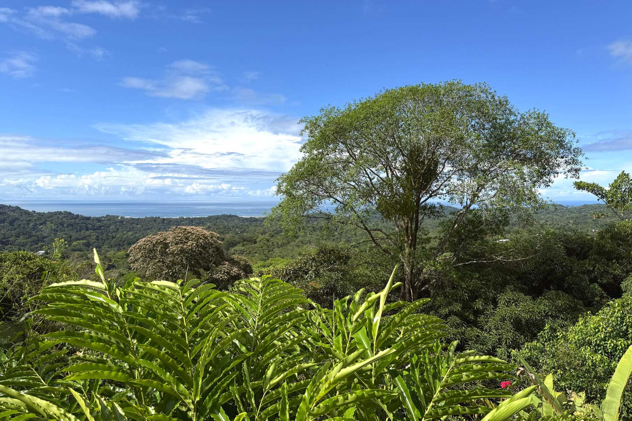 Panoramic Ocean View Home lush treetop canopy and distant coastline in Ojochal, Costa Rica