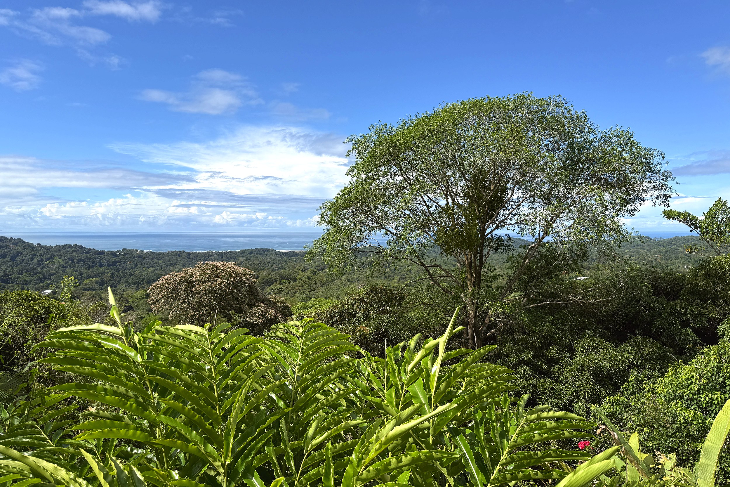 Panoramic Jungle & Ocean View Panoramic Ocean View Home lush treetop canopy and distant coastline in Ojochal, Costa Rica