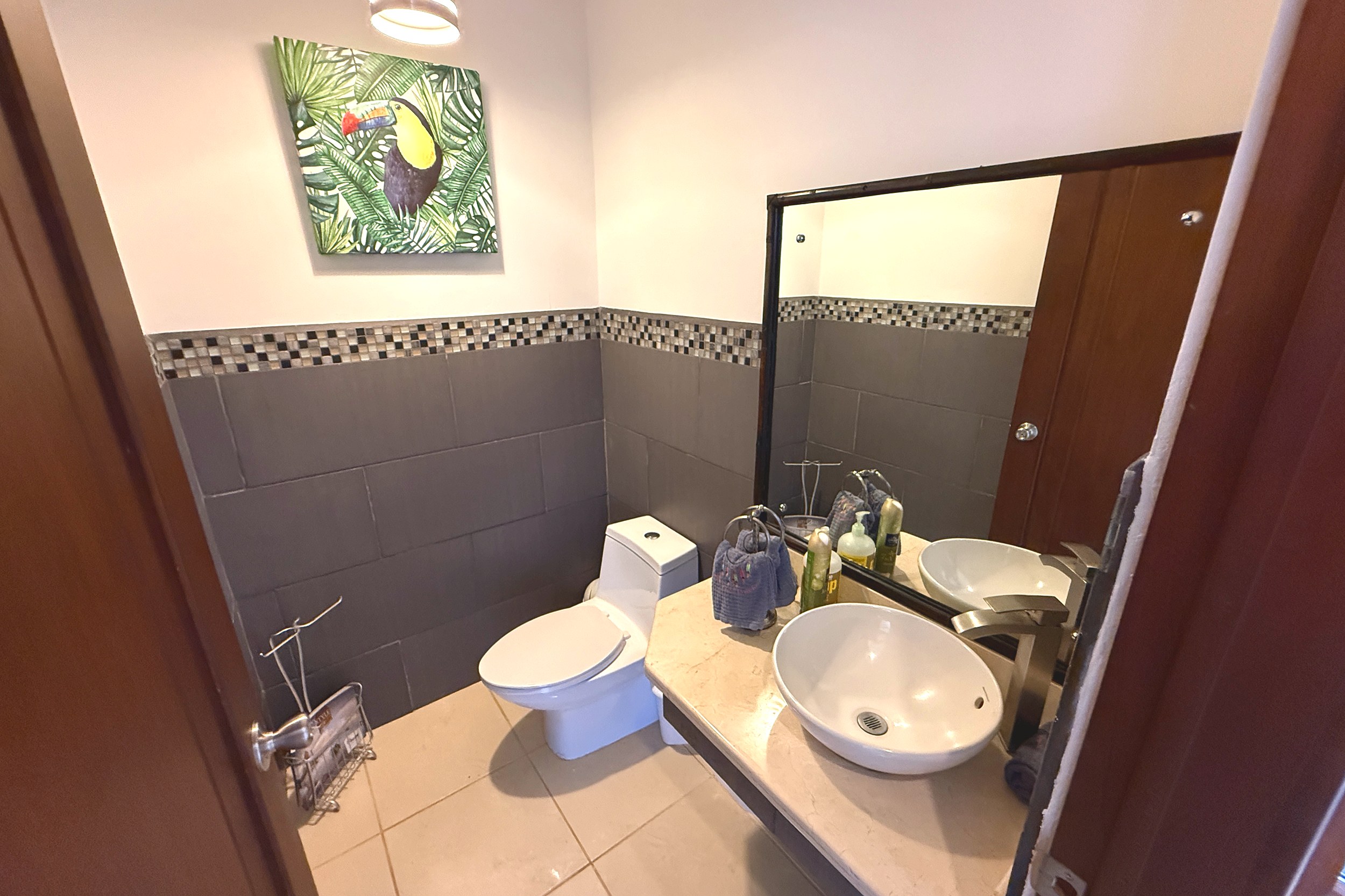 Guest Half Bathroom Ocean View Home guest bathroom with vessel sink and toucan art in Ojochal, Costa Rica