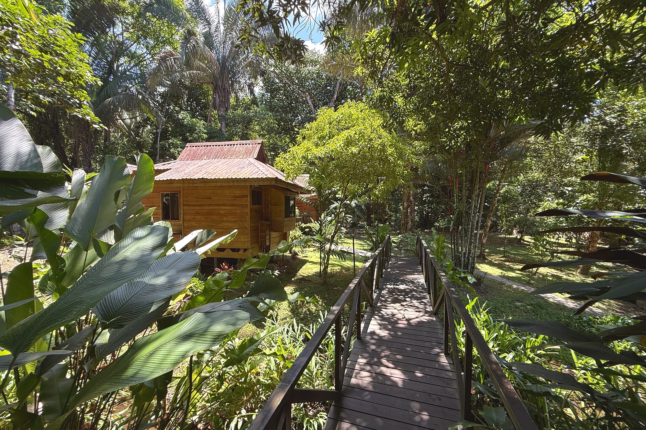 Jungle Cabin & Boardwalk Jungle Hotel wooden cabin with elevated boardwalk through lush rainforest in Ojochal, Costa Rica.