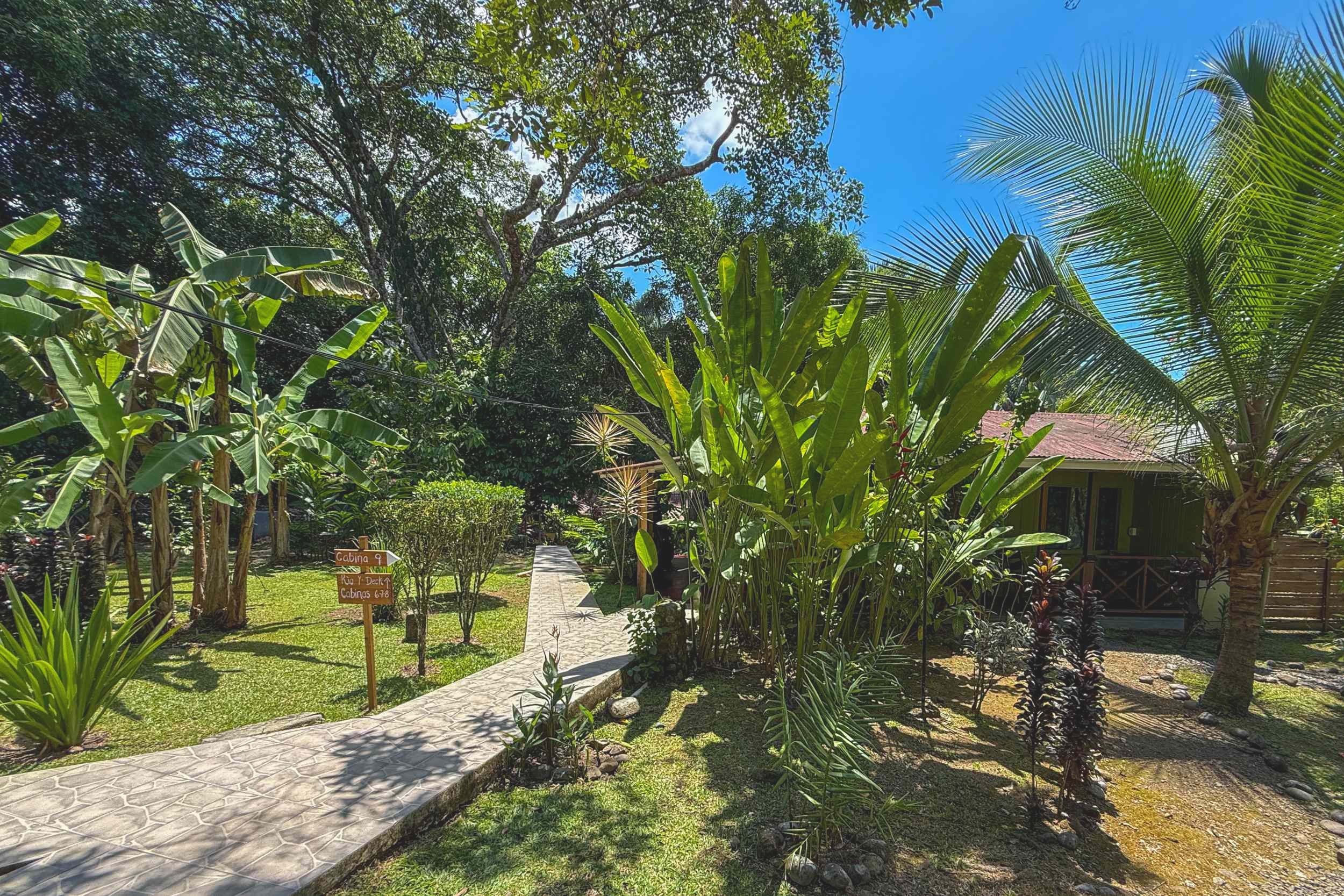 Tropical Garden Pathway Jungle Hotel lush garden path with tropical palms in Ojochal, Costa Rica