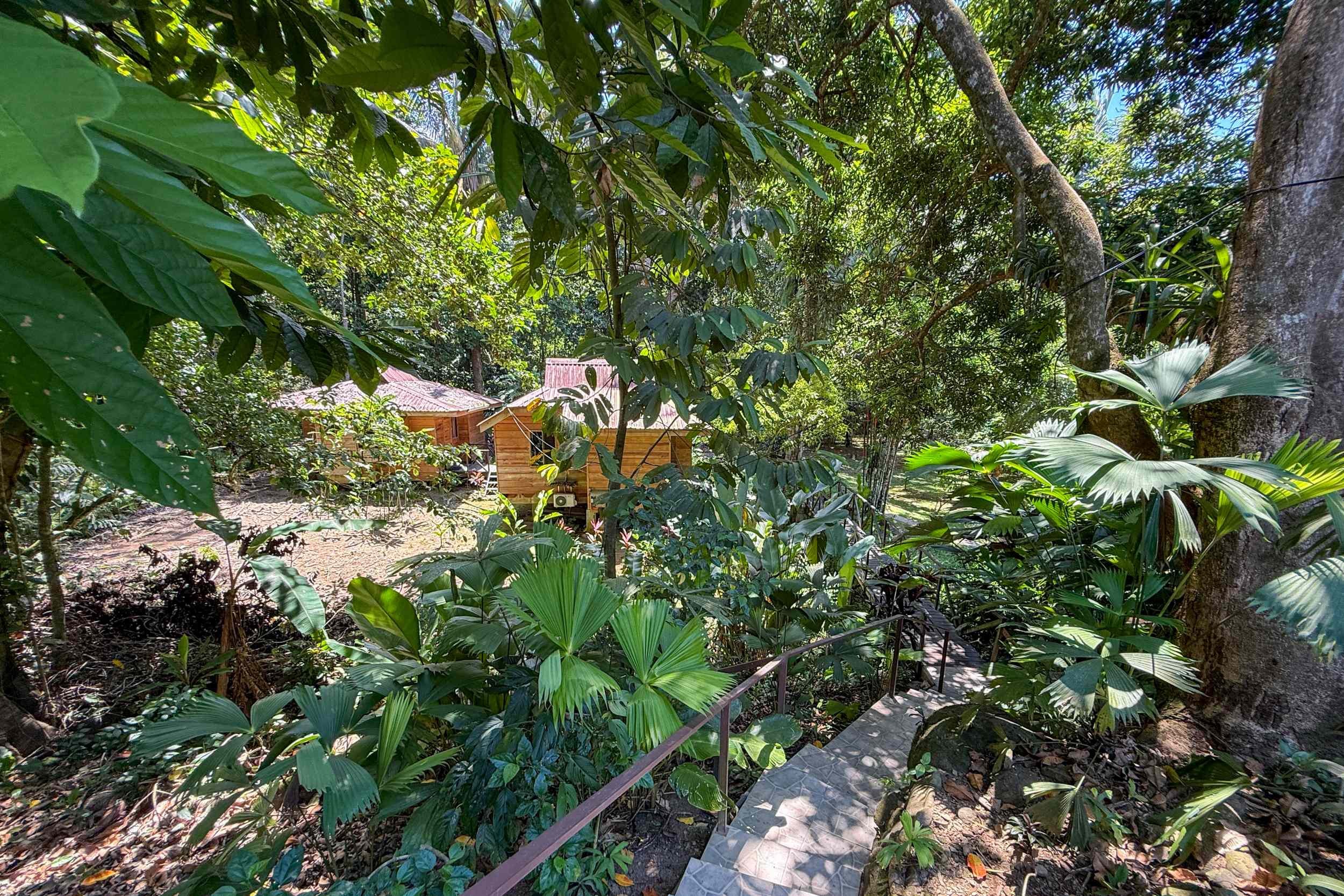 Tropical Garden Pathway Jungle Hotel stone steps through lush tropical garden in Ojochal, Costa Rica