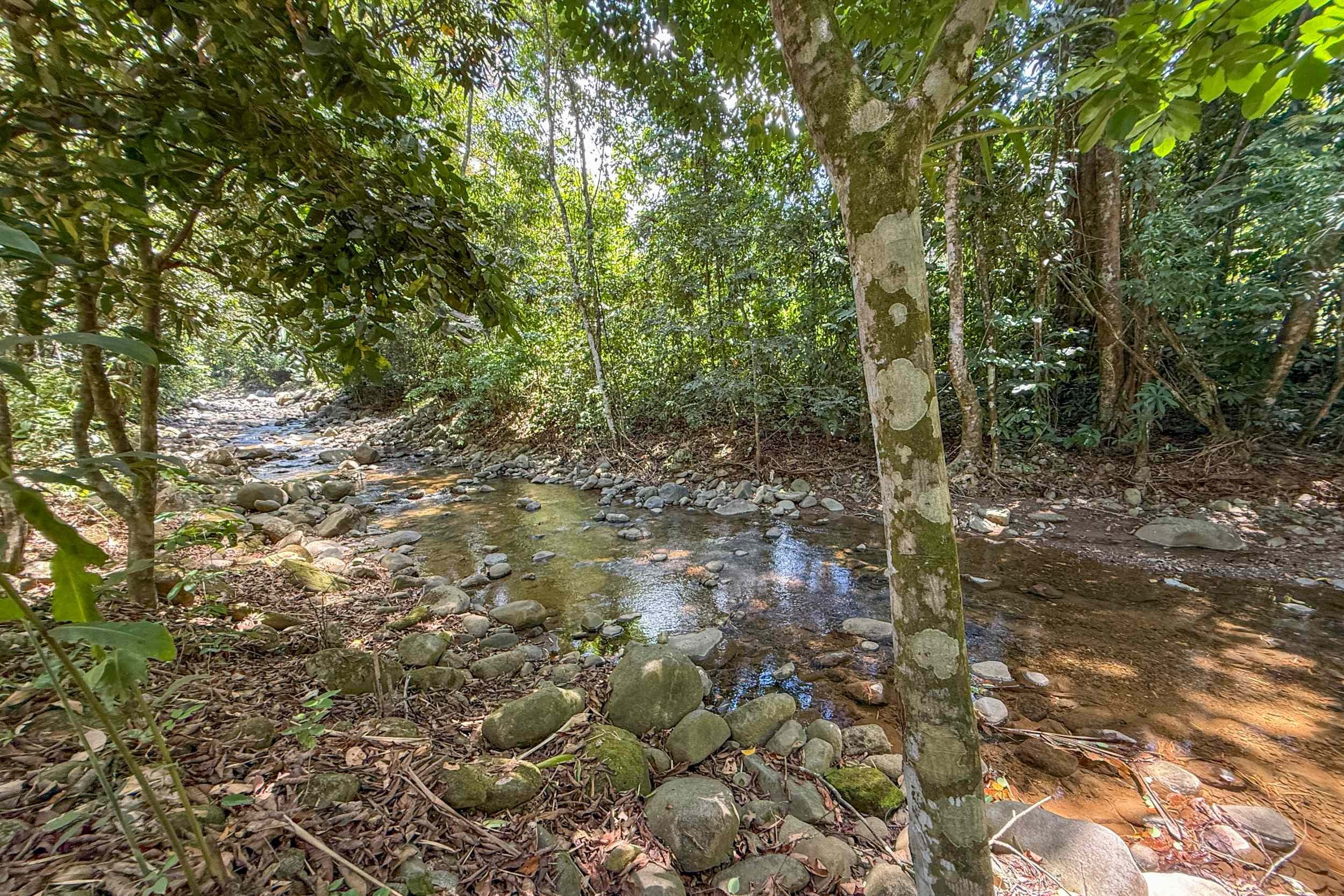 Natural River Setting Gorgeous Jungle Hotel natural river stream through forest in Ojochal, Costa Rica.