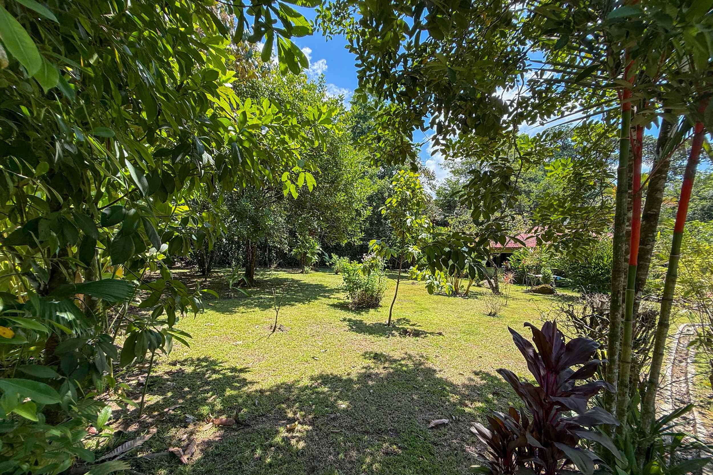 Tropical Garden Grounds Jungle Hotel lush garden grounds with shaded lawn in Ojochal, Costa Rica