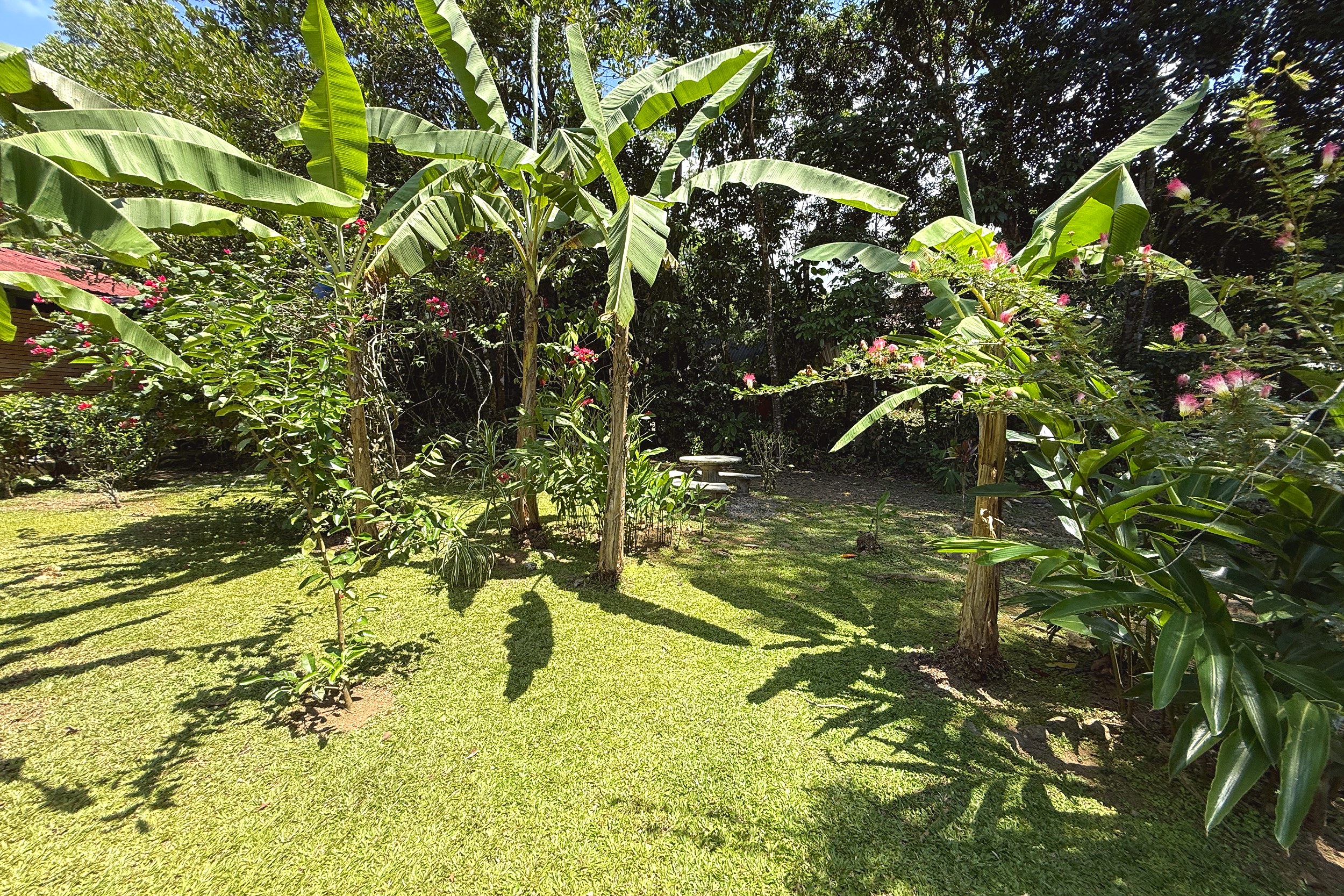 Tropical Garden Grounds Jungle Hotel lush garden with banana palms and flowering shrubs in Ojochal, Costa Rica