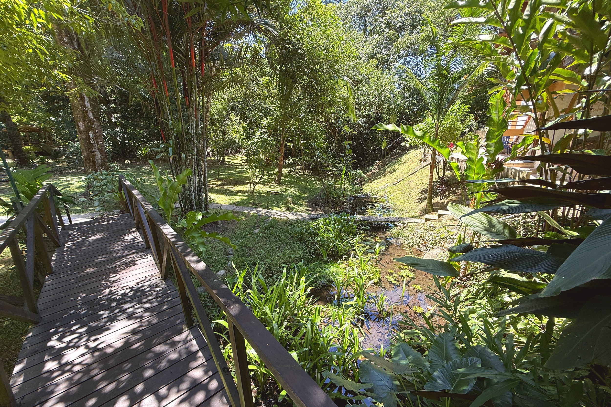 Wooden Bridge & Garden Pond Jungle Hotel wooden footbridge over garden pond in Ojochal, Costa Rica