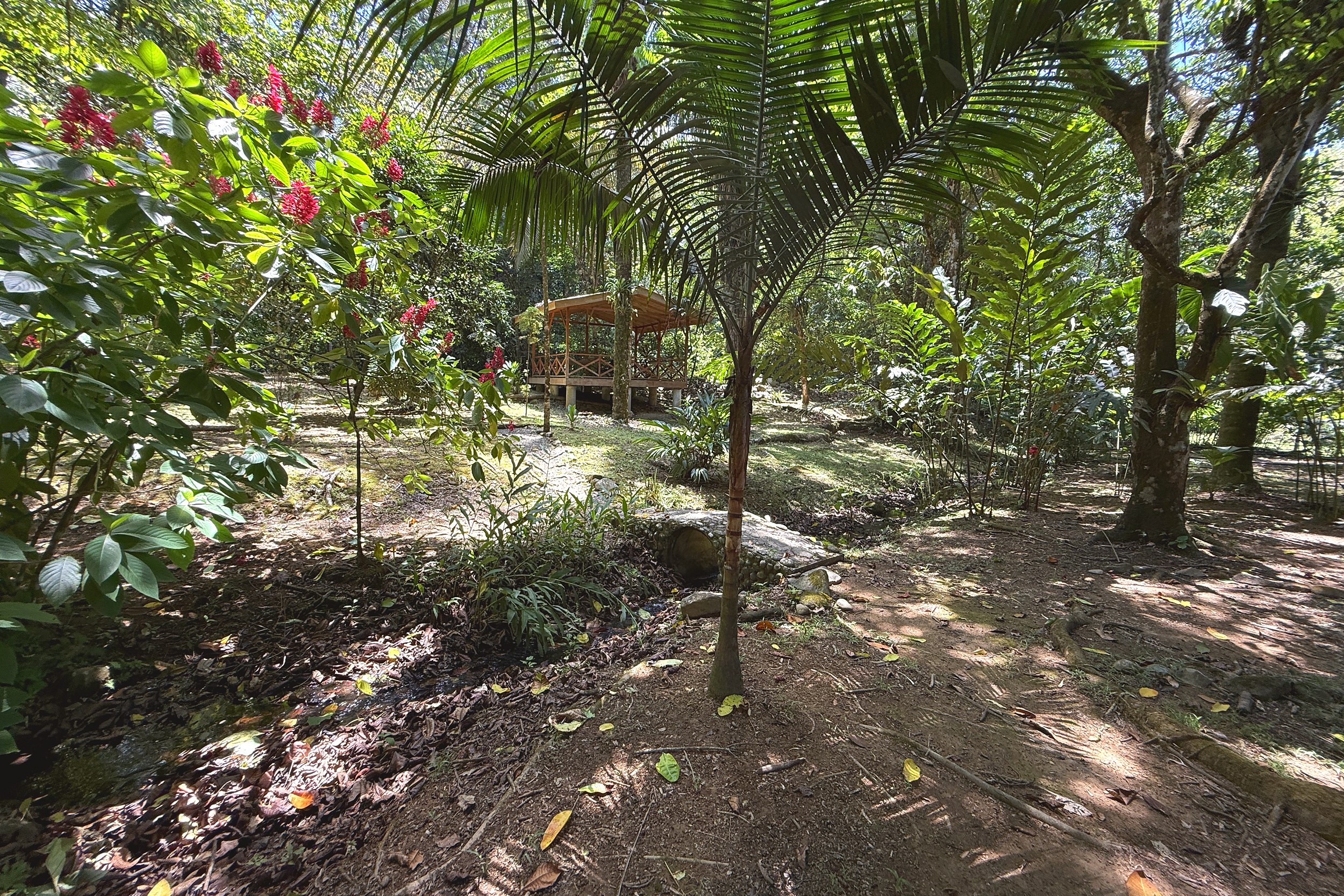 Tropical Garden Pathway Jungle Hotel lush garden path with gazebo in Ojochal, Costa Rica