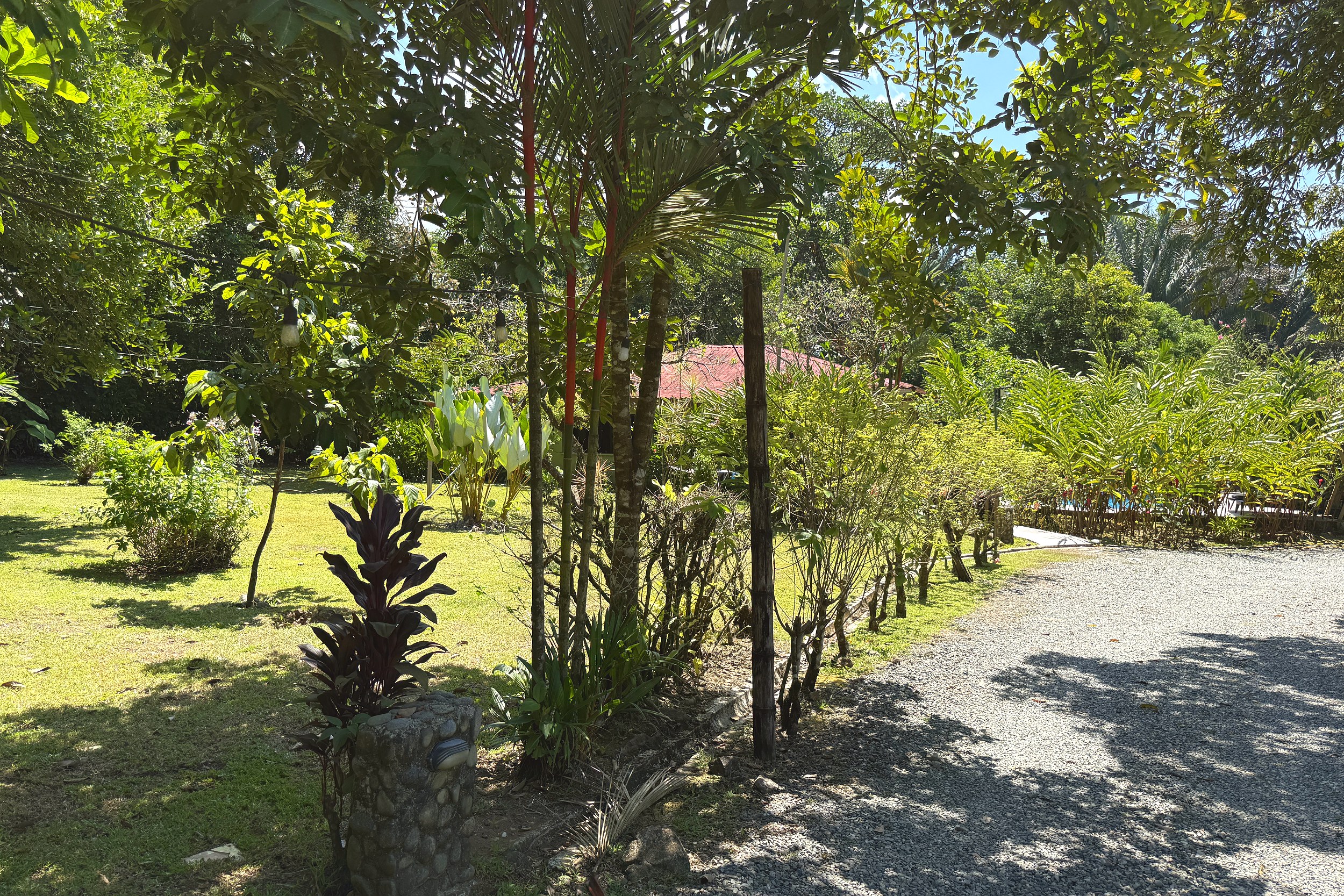 Tropical Garden Pathway Jungle Hotel lush garden path with palms and stone accents in Ojochal, Costa Rica