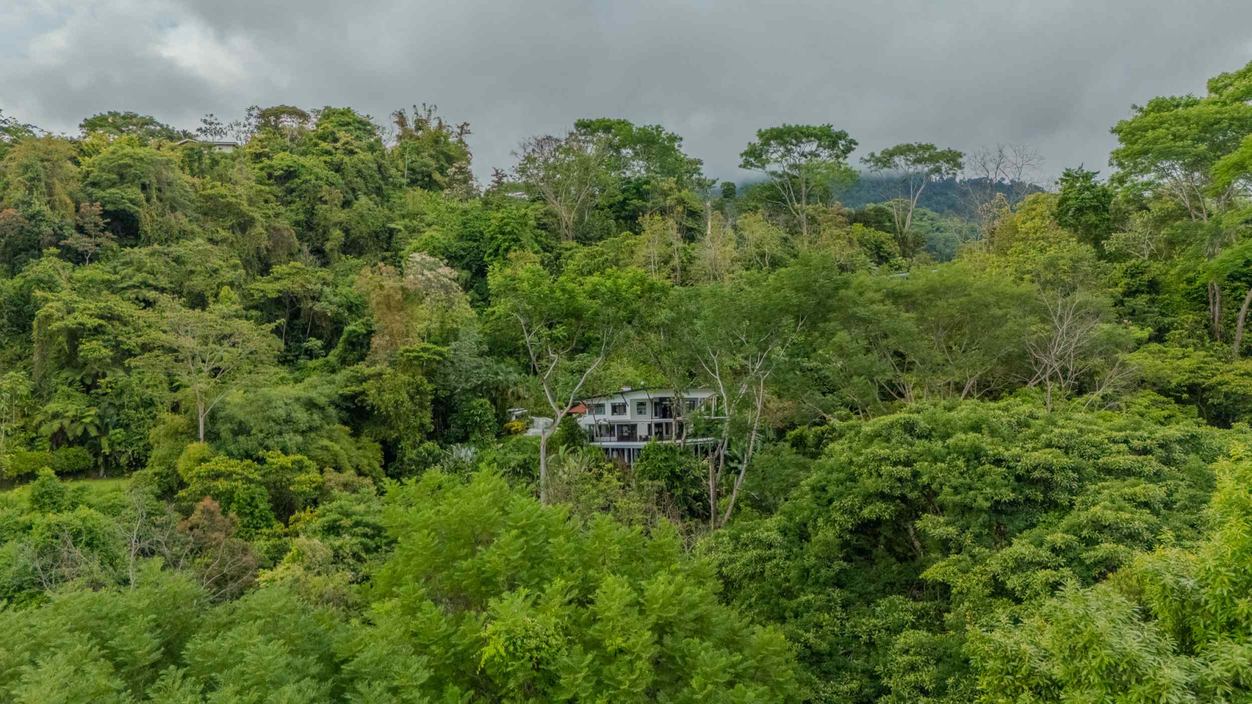 Stunning Ocean-View 3-Bedroom Jungle Retreat with Infinity Pool in Uvita Costa Rica