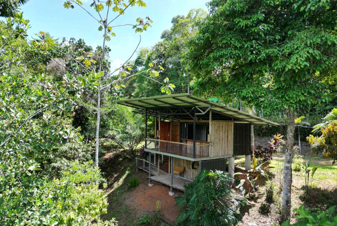 Secluded 1-Bedroom Jungle Cabin with Mountain Views & 2.5 Acres in Tinamastes Costa Rica