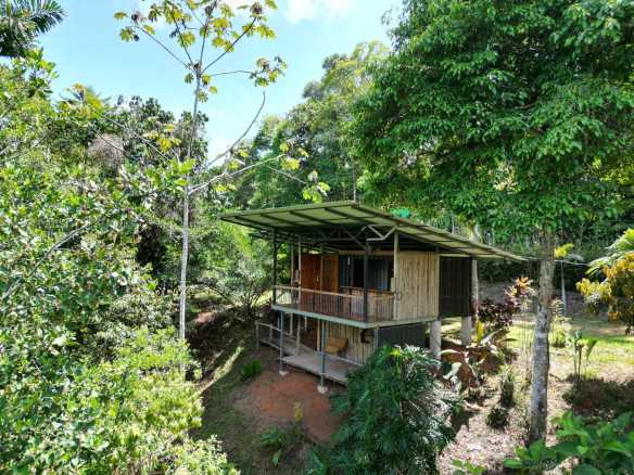 Secluded 1-Bedroom Jungle Cabin with Mountain Views & 2.5 Acres in Tinamastes Costa Rica