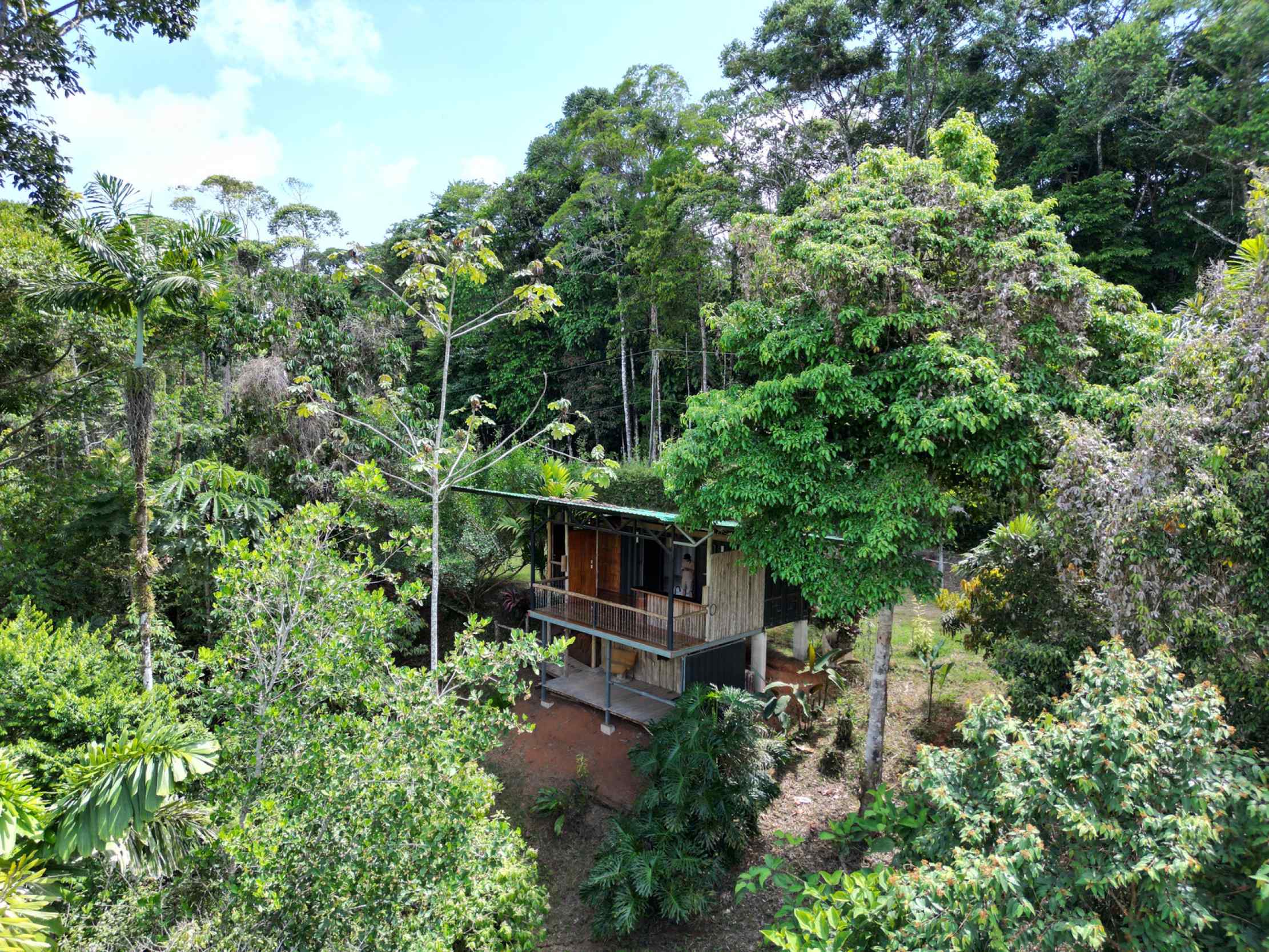 66672-4 Secluded 1-Bedroom Jungle Cabin with Mountain Views & 2.5 Acres in Tinamastes Costa Rica