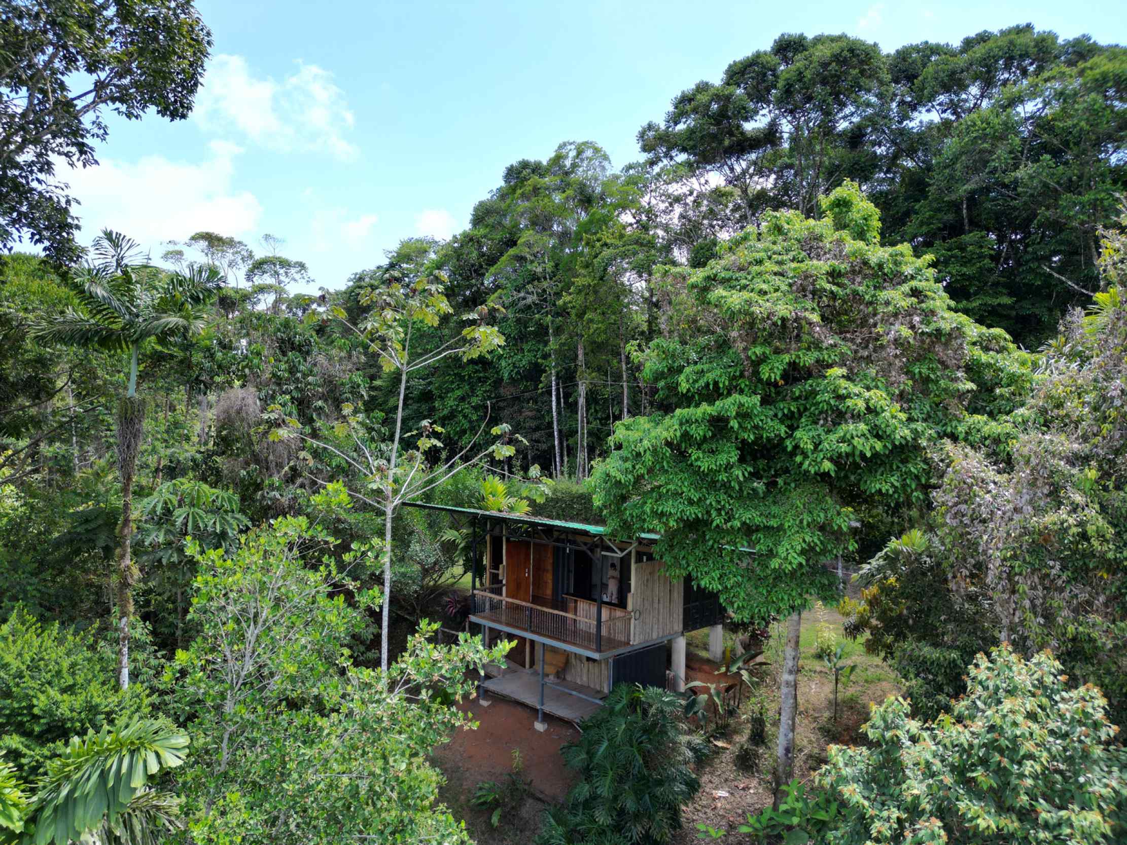 66672-5 Secluded 1-Bedroom Jungle Cabin with Mountain Views & 2.5 Acres in Tinamastes Costa Rica