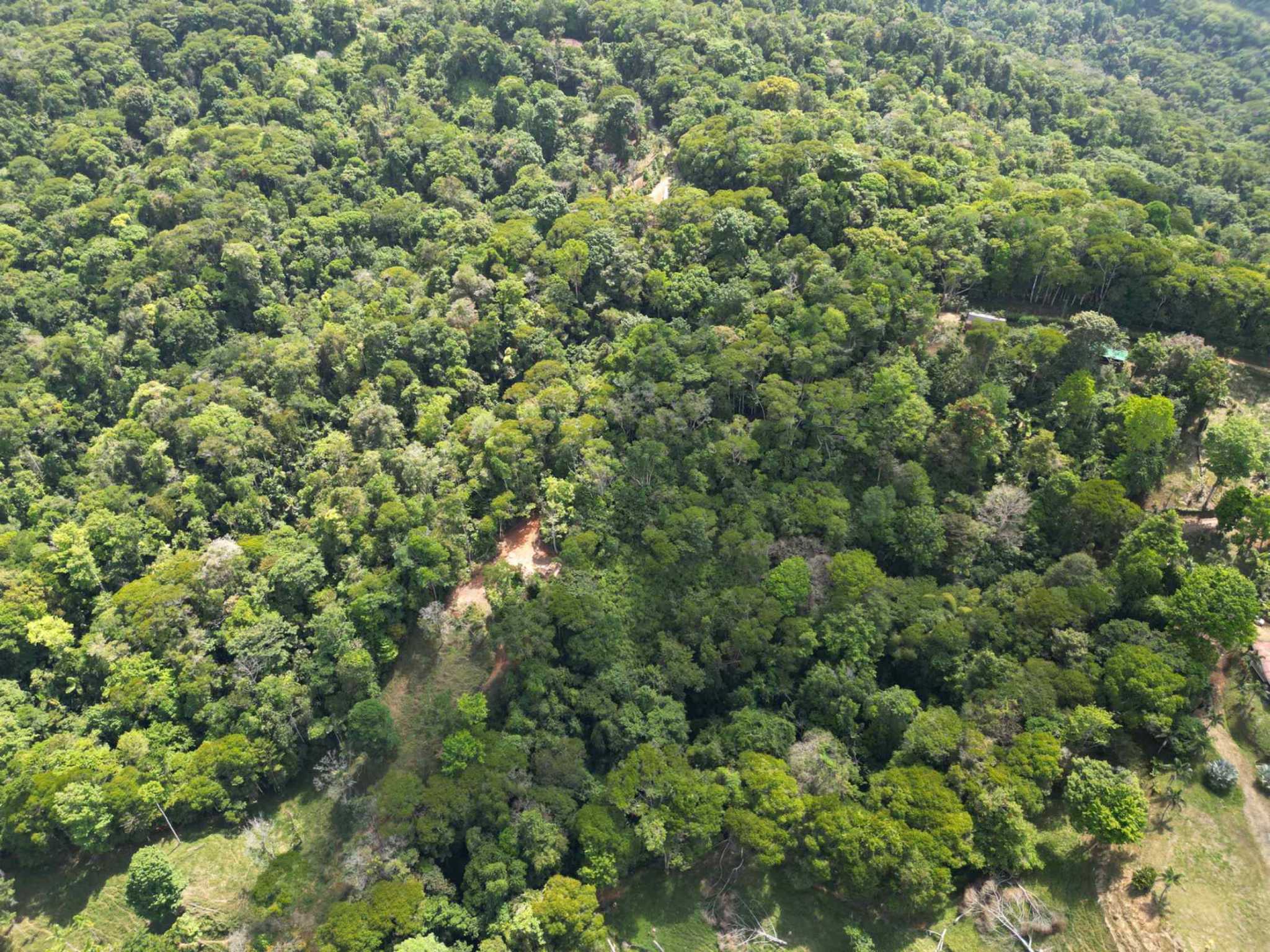 66672-7 Secluded 1-Bedroom Jungle Cabin with Mountain Views & 2.5 Acres in Tinamastes Costa Rica