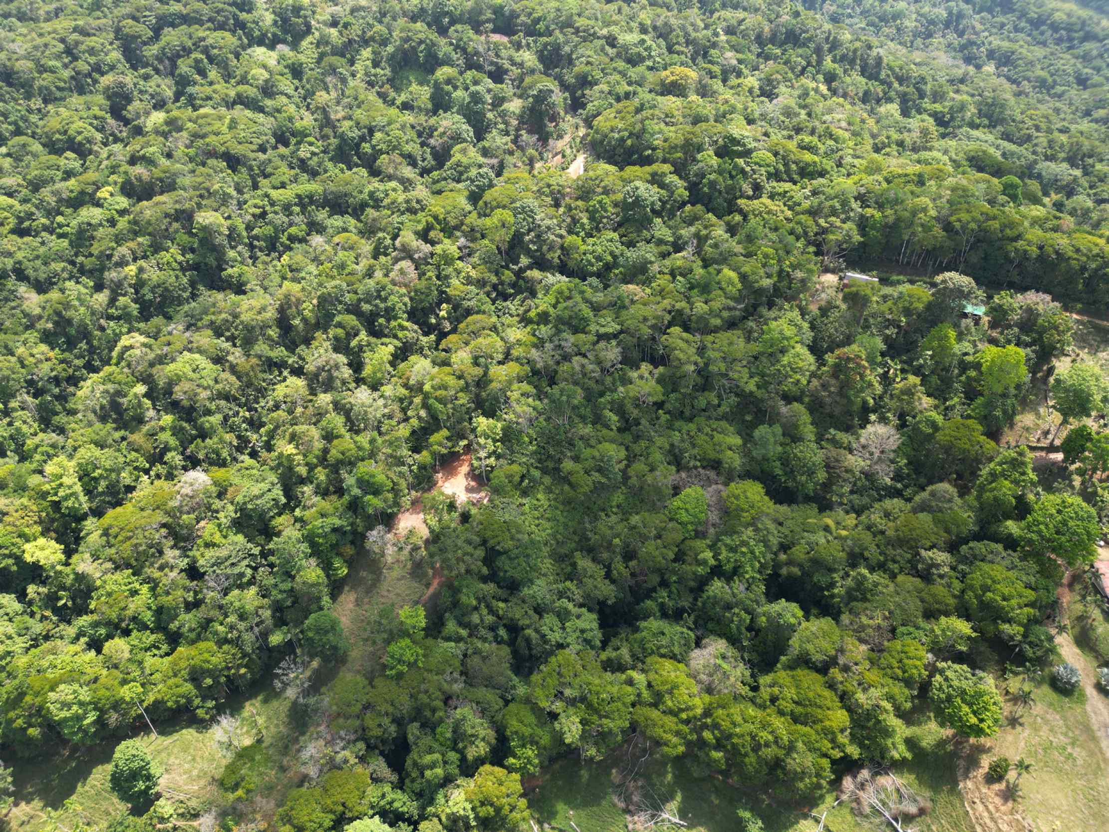 66672-7 Secluded 1-Bedroom Jungle Cabin with Mountain Views & 2.5 Acres in Tinamastes Costa Rica
