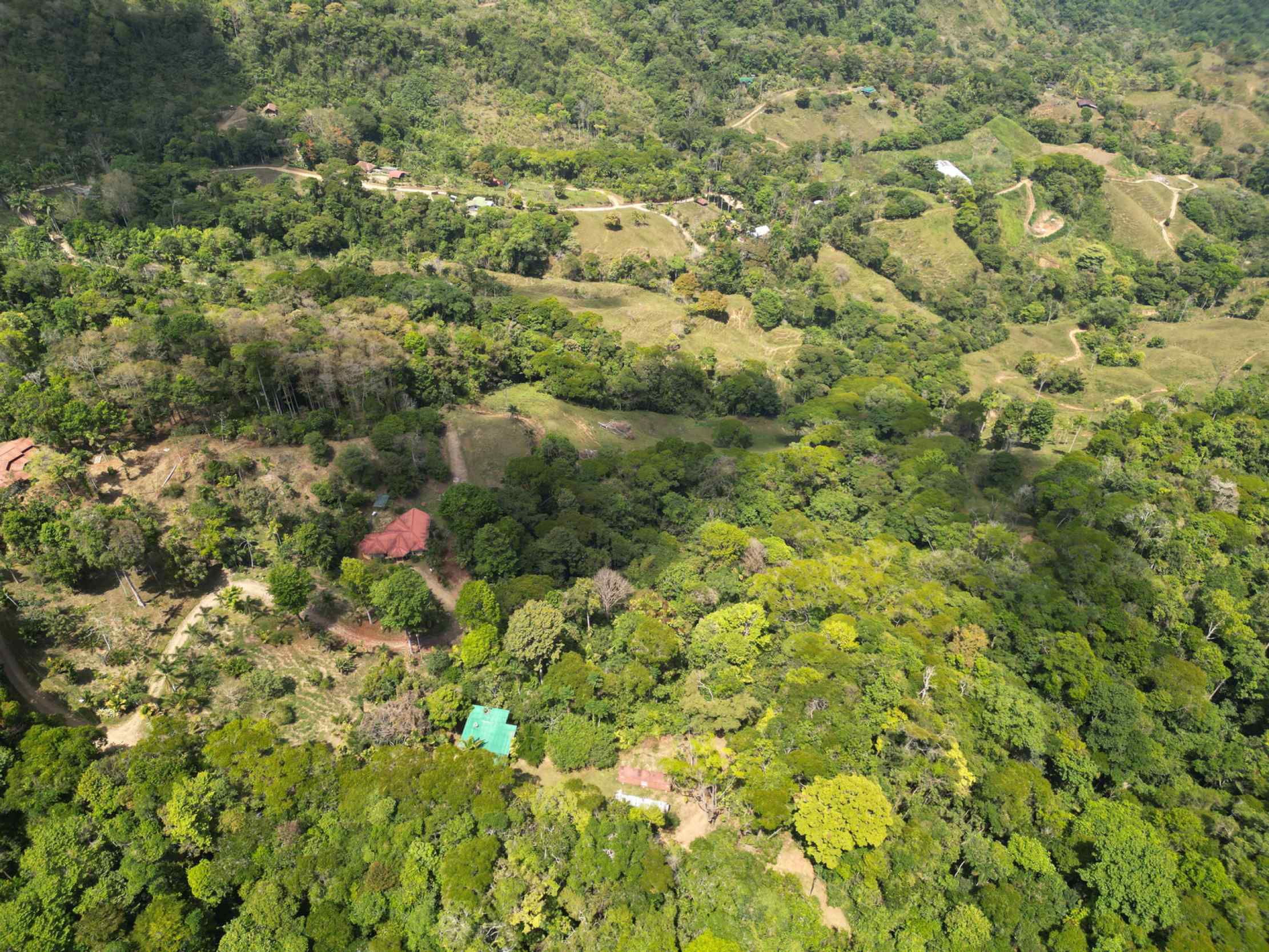 66672-8 Secluded 1-Bedroom Jungle Cabin with Mountain Views & 2.5 Acres in Tinamastes Costa Rica
