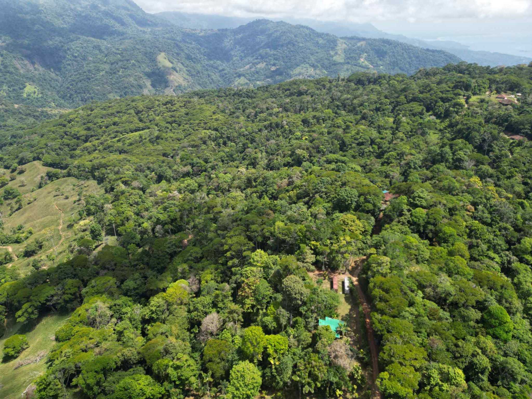 66672-9 Secluded 1-Bedroom Jungle Cabin with Mountain Views & 2.5 Acres in Tinamastes Costa Rica