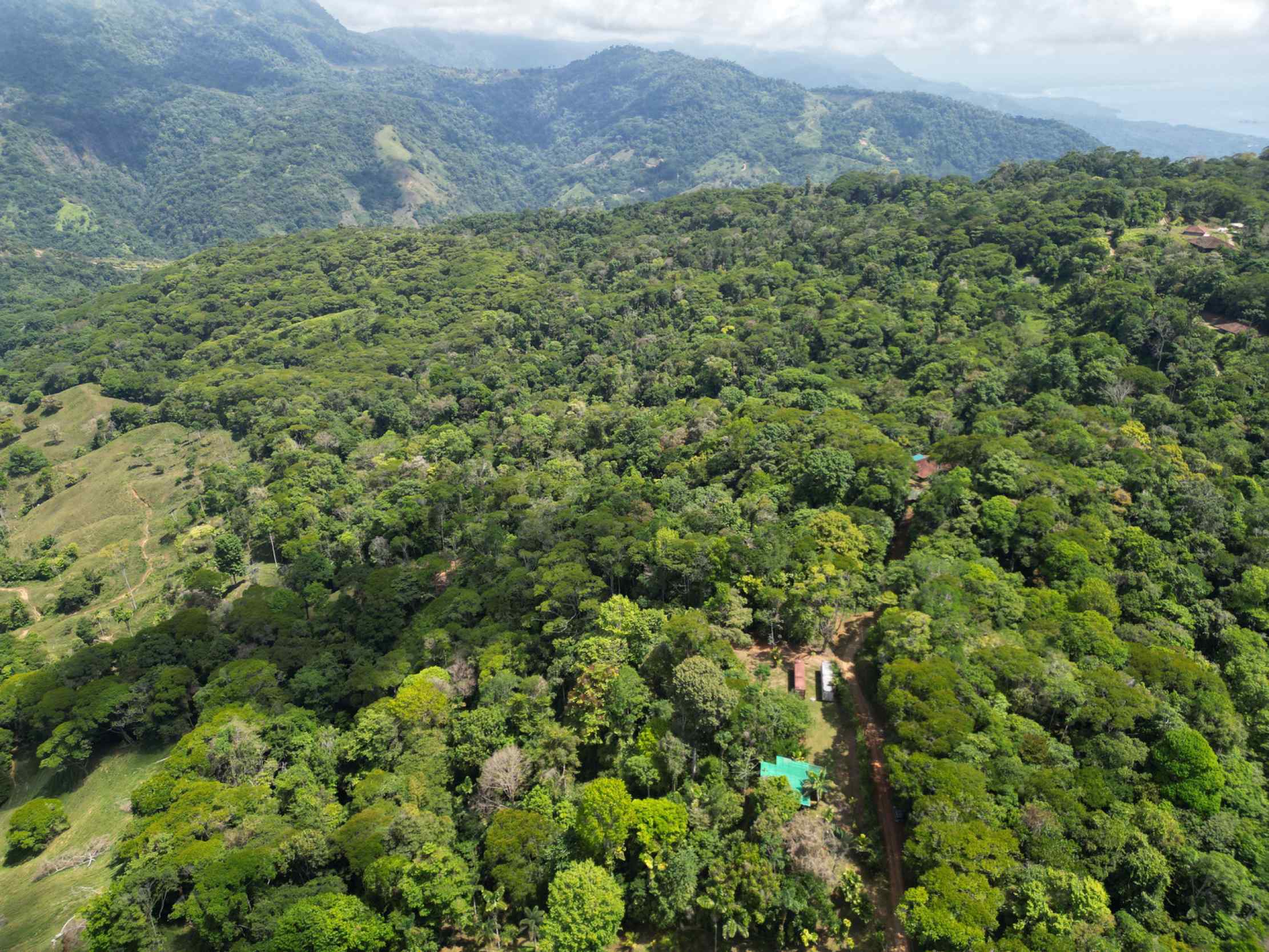 66672-9 Secluded 1-Bedroom Jungle Cabin with Mountain Views & 2.5 Acres in Tinamastes Costa Rica
