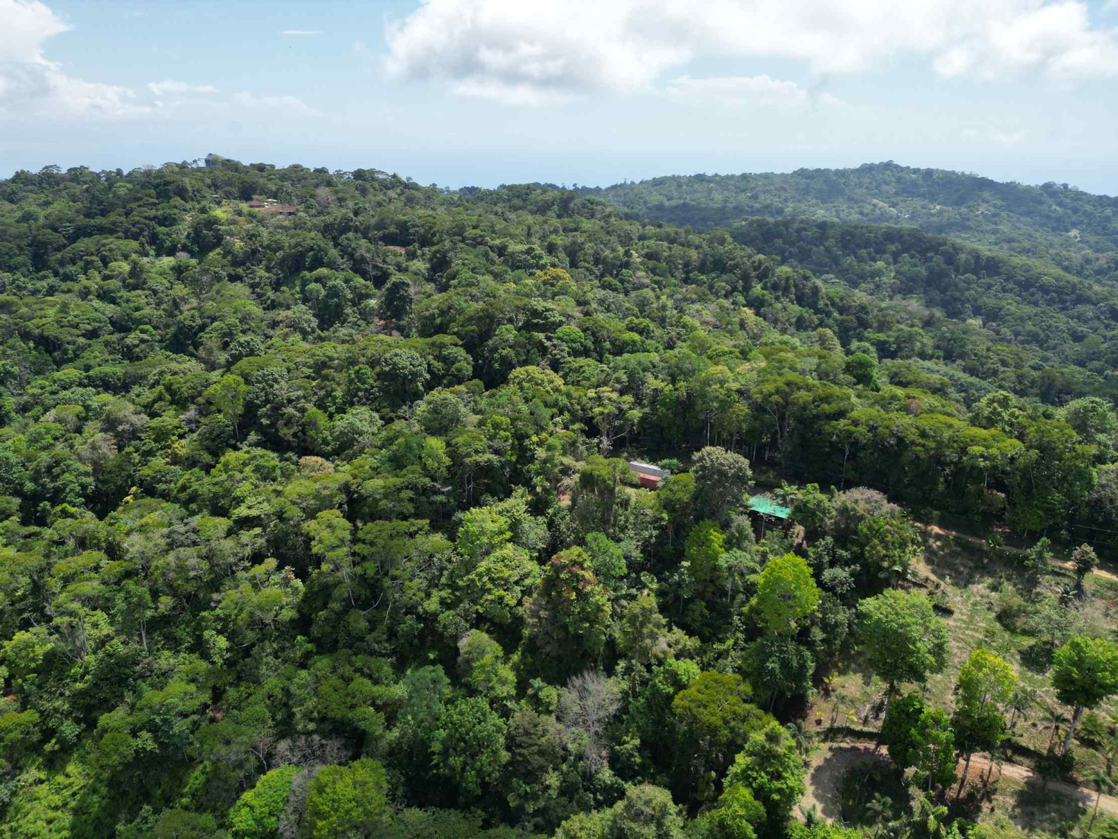 66672-10 Secluded 1-Bedroom Jungle Cabin with Mountain Views & 2.5 Acres in Tinamastes Costa Rica