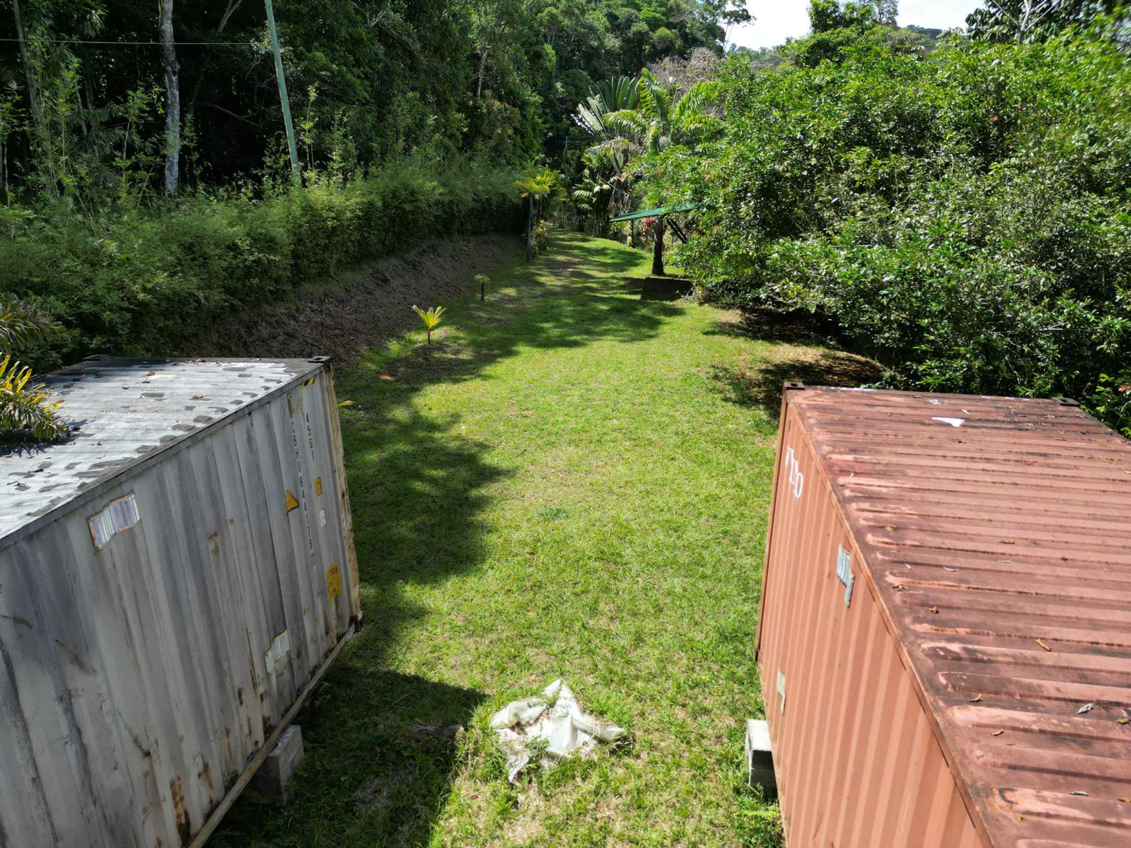 66672-14 Secluded 1-Bedroom Jungle Cabin with Mountain Views & 2.5 Acres in Tinamastes Costa Rica