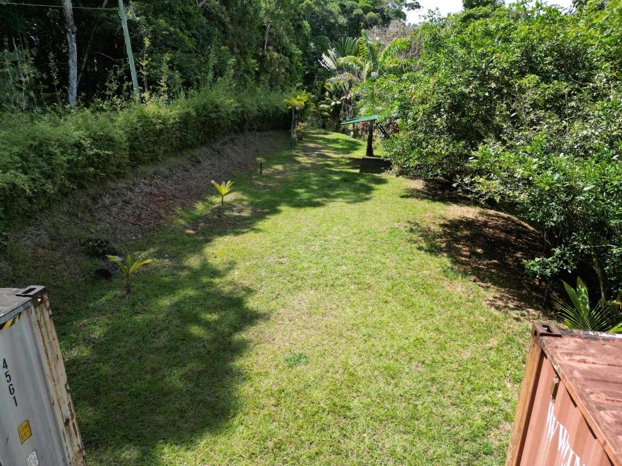 66672-15 Secluded 1-Bedroom Jungle Cabin with Mountain Views & 2.5 Acres in Tinamastes Costa Rica