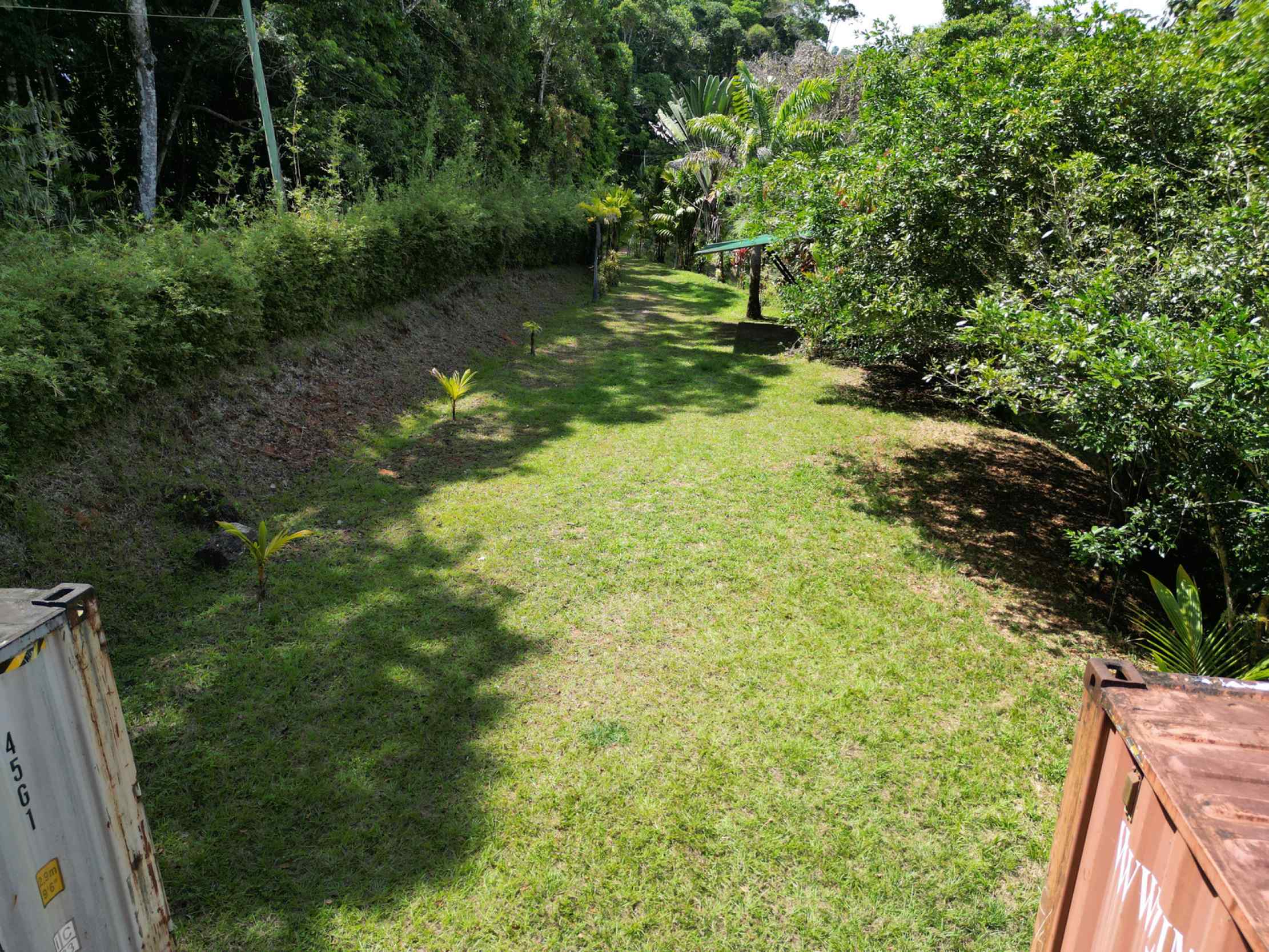 66672-15 Secluded 1-Bedroom Jungle Cabin with Mountain Views & 2.5 Acres in Tinamastes Costa Rica