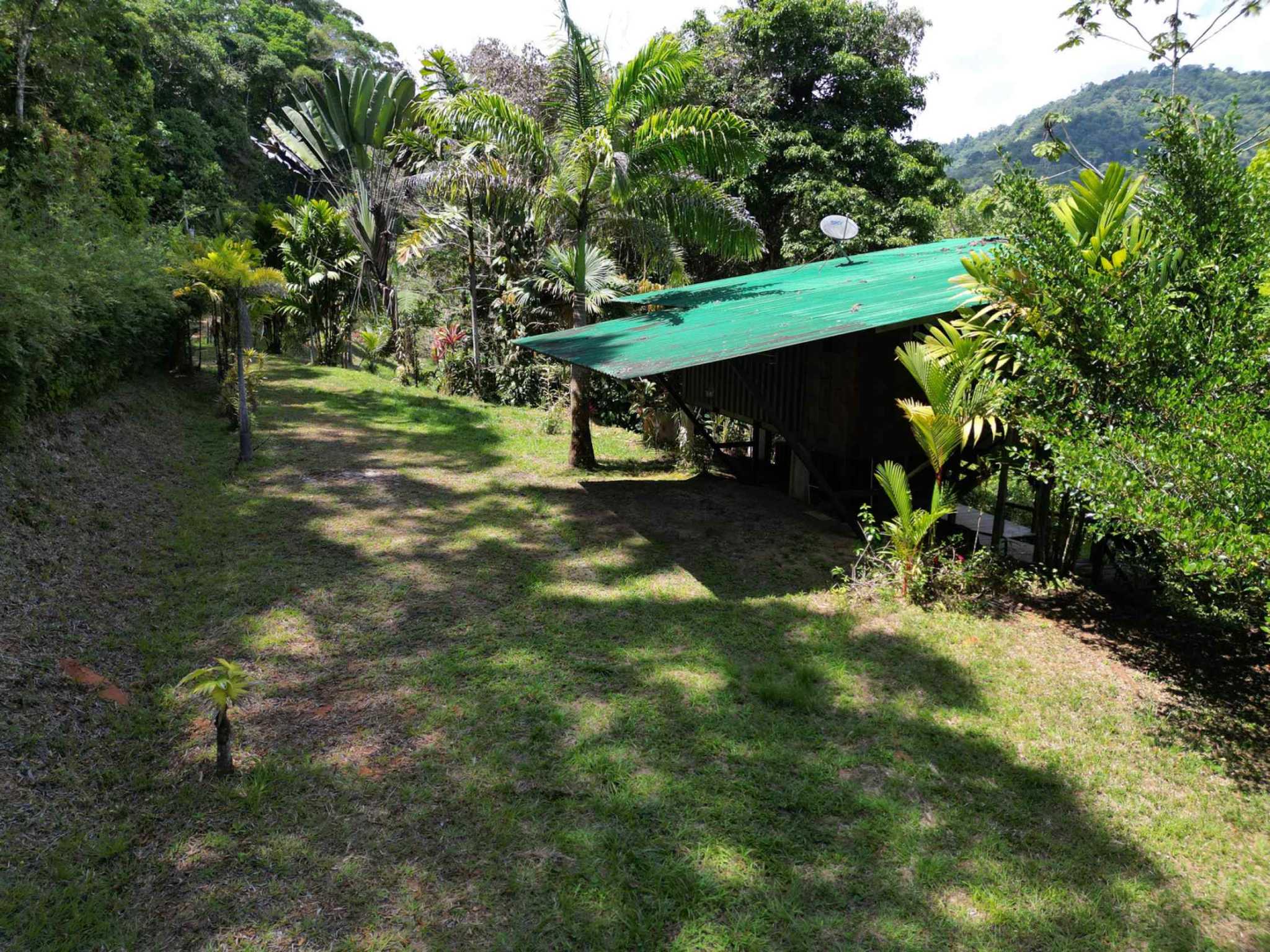 66672-16 Secluded 1-Bedroom Jungle Cabin with Mountain Views & 2.5 Acres in Tinamastes Costa Rica