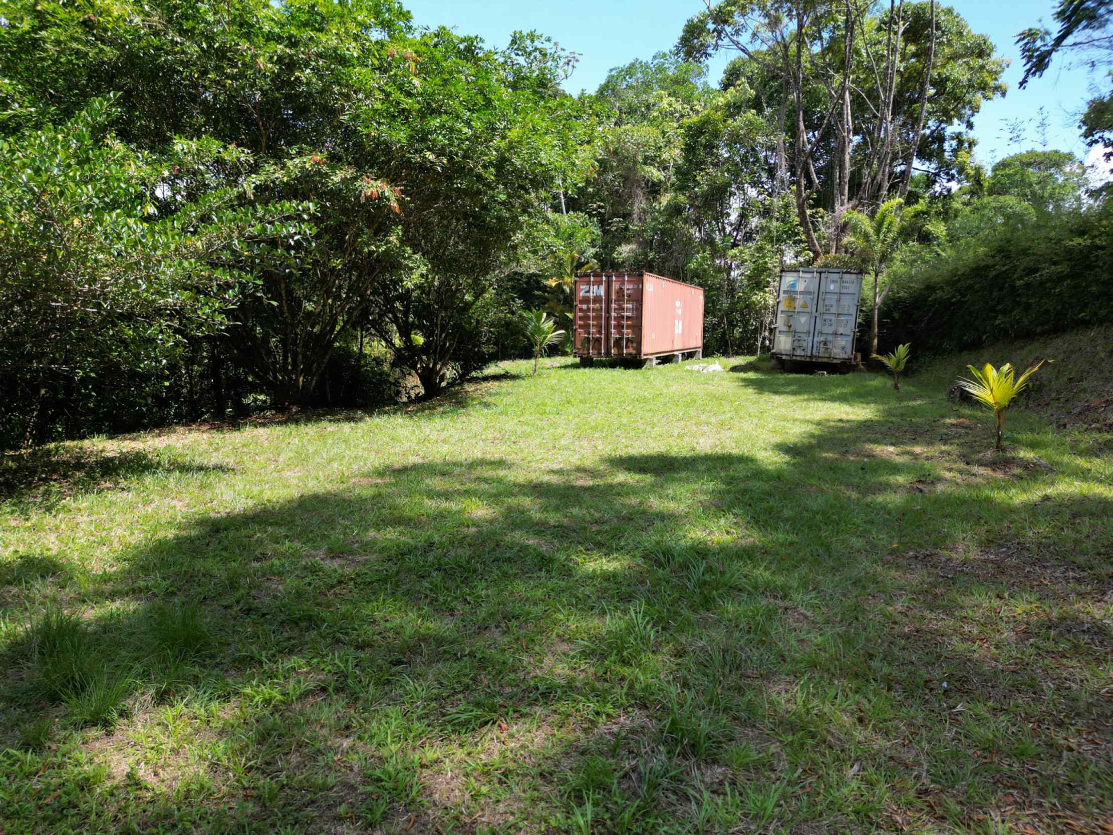 66672-19 Secluded 1-Bedroom Jungle Cabin with Mountain Views & 2.5 Acres in Tinamastes Costa Rica