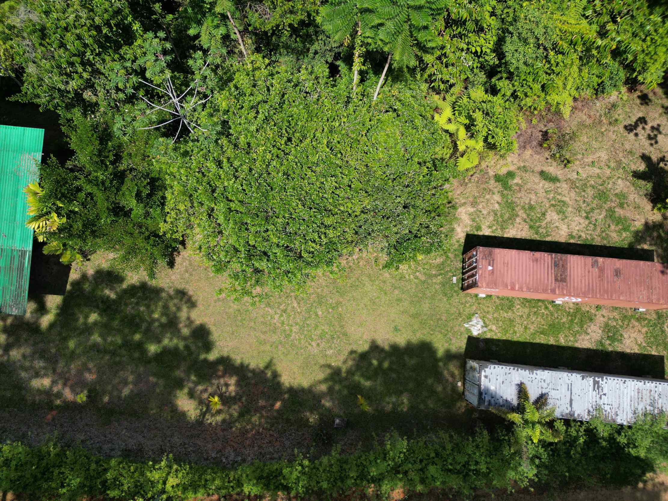 66672-21 Secluded 1-Bedroom Jungle Cabin with Mountain Views & 2.5 Acres in Tinamastes Costa Rica