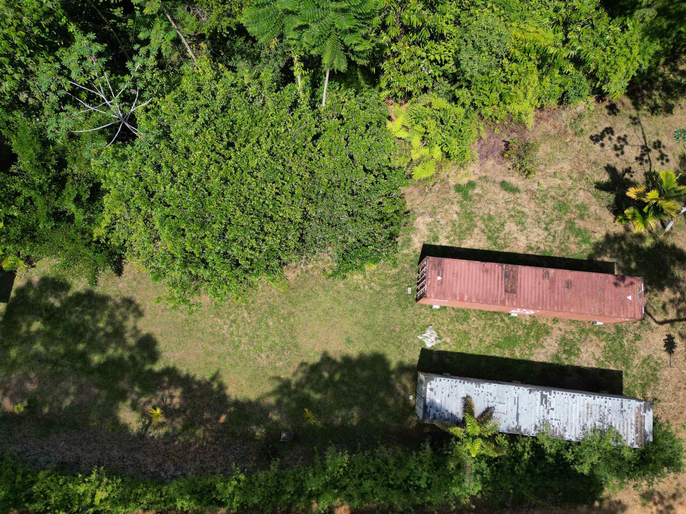 66672-22 Secluded 1-Bedroom Jungle Cabin with Mountain Views & 2.5 Acres in Tinamastes Costa Rica