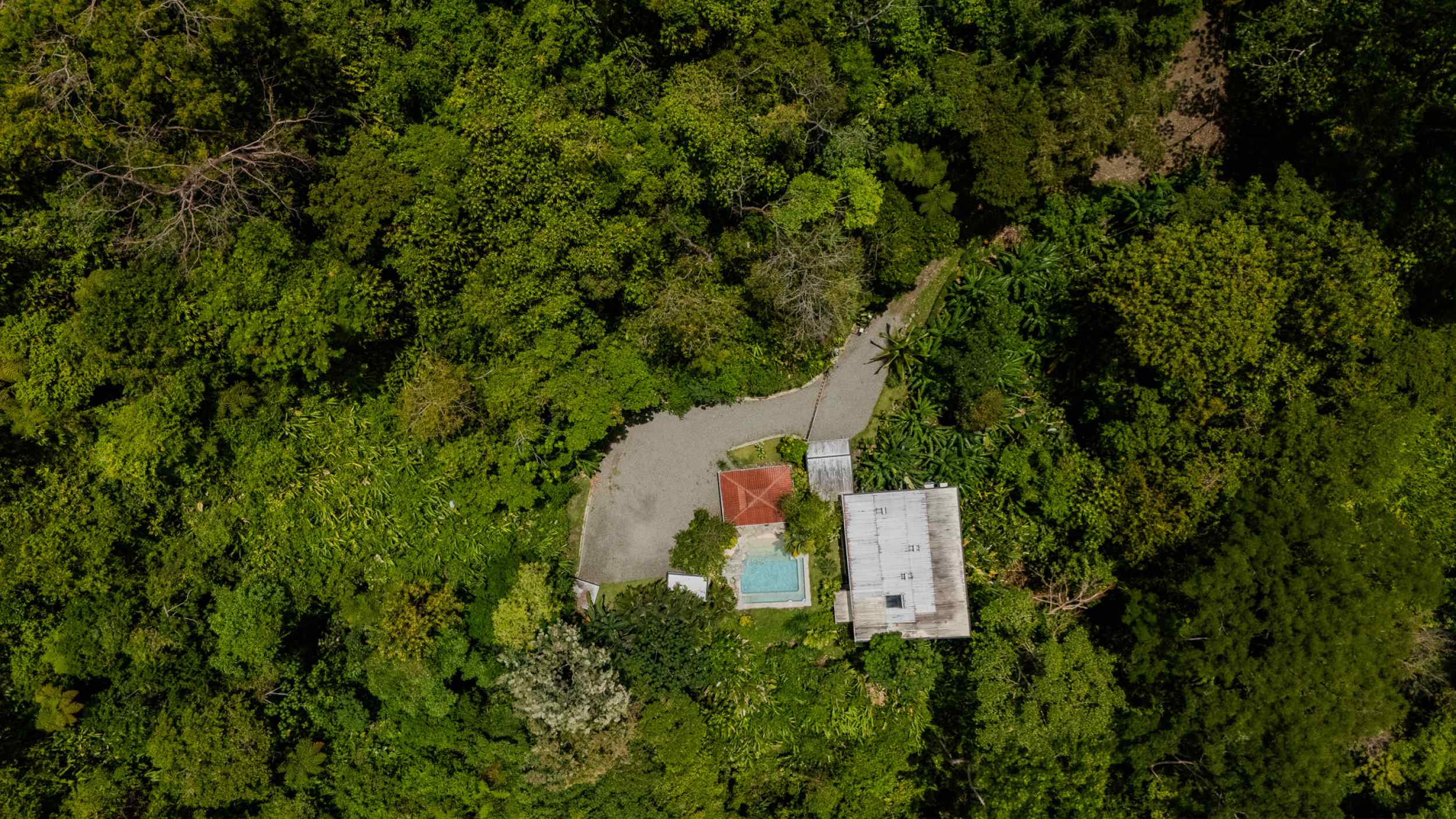 Stunning Ocean-View 3-Bedroom Jungle Retreat with Infinity Pool in Uvita Costa Rica