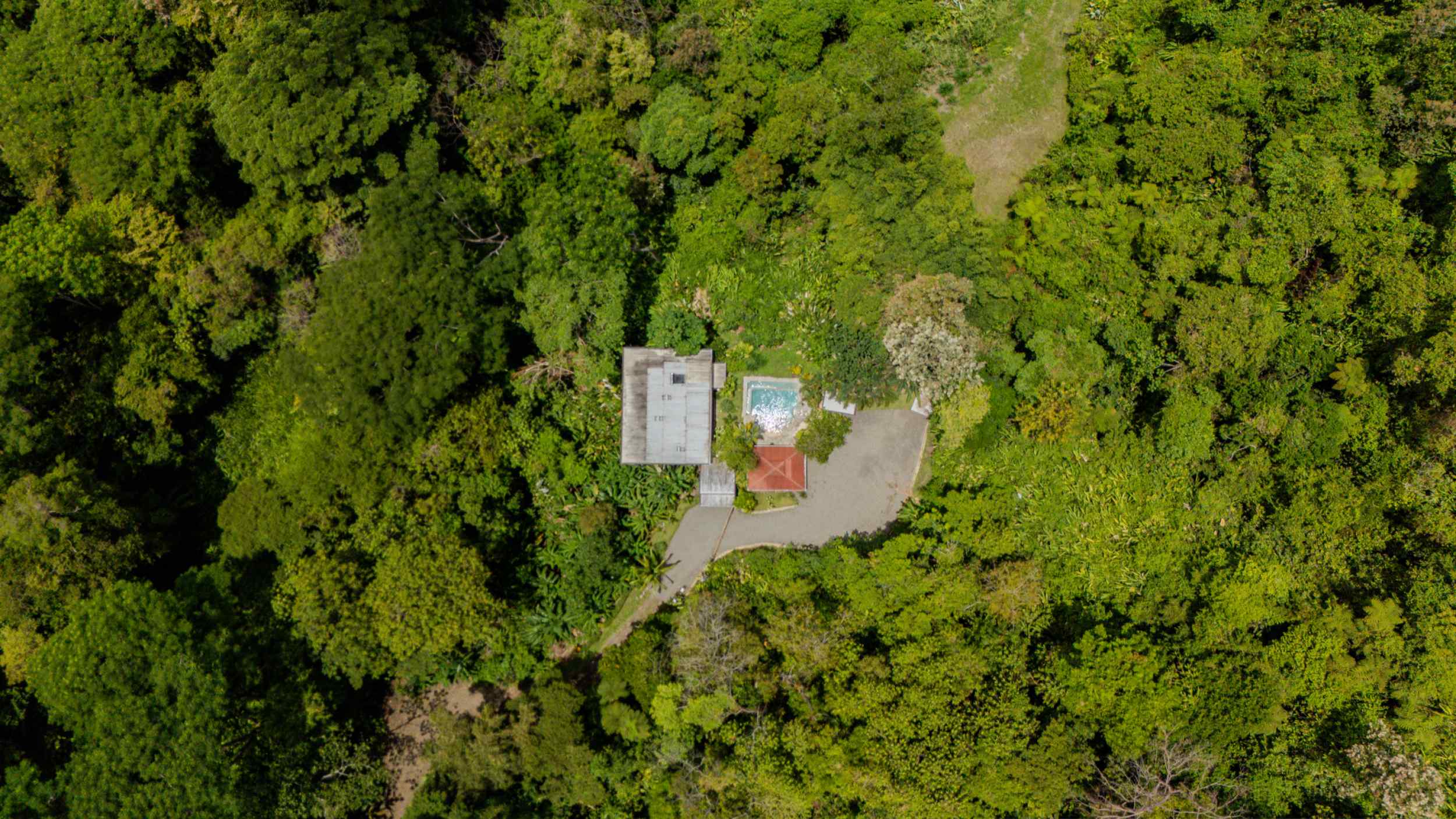 Stunning Ocean-View 3-Bedroom Jungle Retreat with Infinity Pool in Uvita Costa Rica