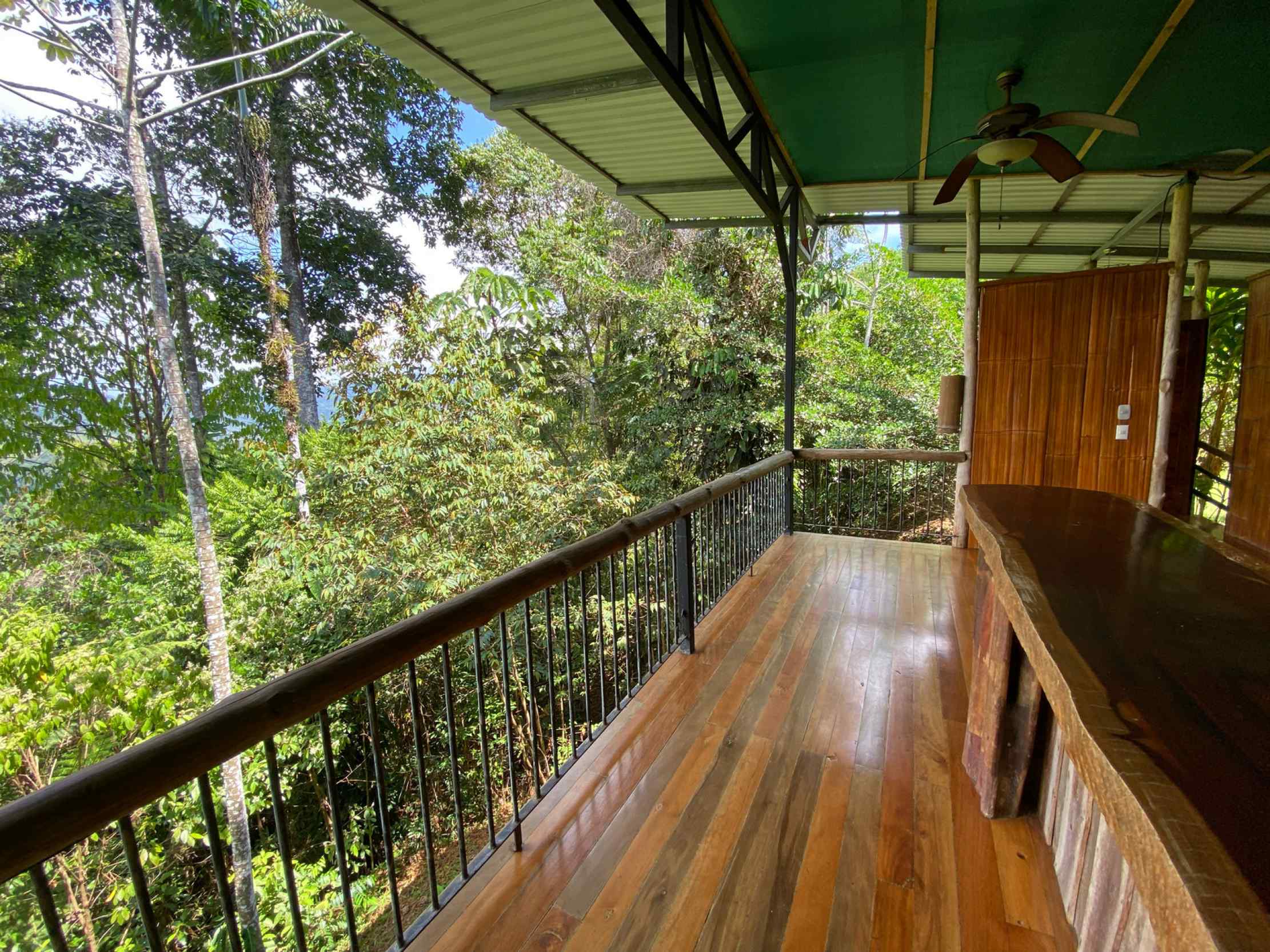 66672-29 Secluded 1-Bedroom Jungle Cabin with Mountain Views & 2.5 Acres in Tinamastes Costa Rica