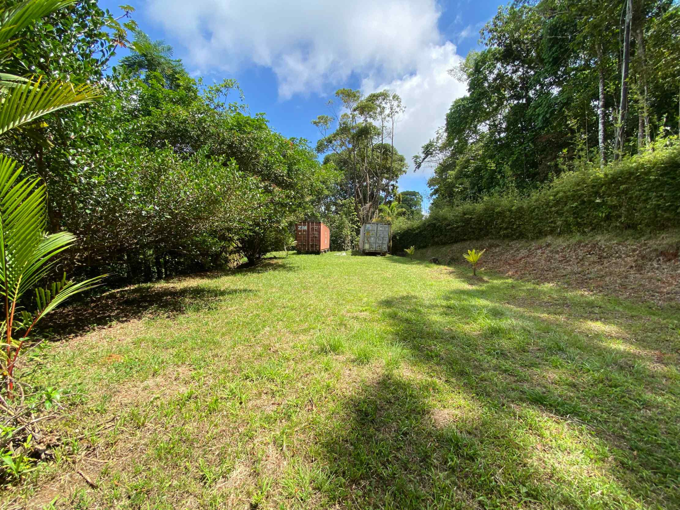 66672-32 Secluded 1-Bedroom Jungle Cabin with Mountain Views & 2.5 Acres in Tinamastes Costa Rica