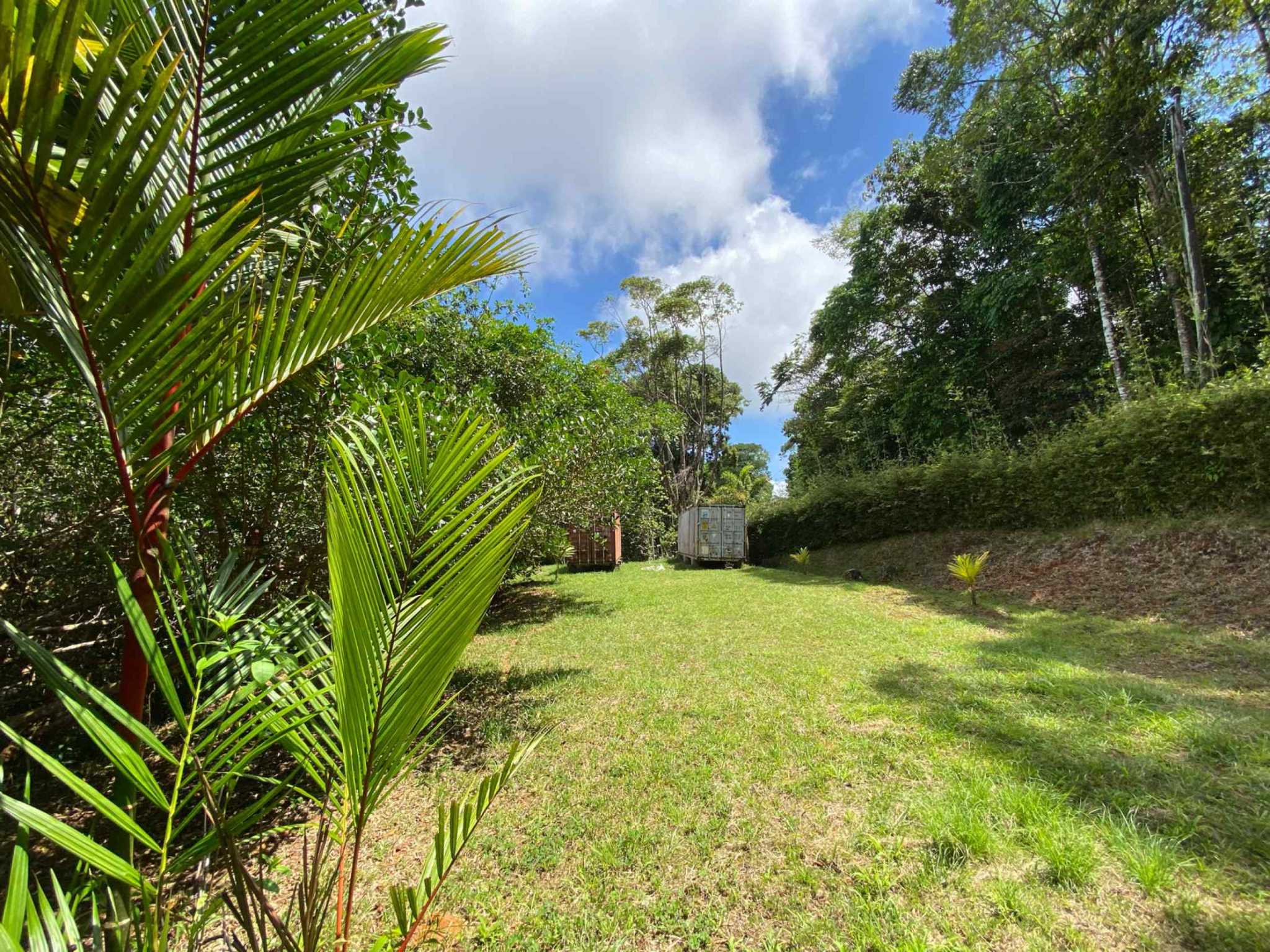66672-33 Secluded 1-Bedroom Jungle Cabin with Mountain Views & 2.5 Acres in Tinamastes Costa Rica