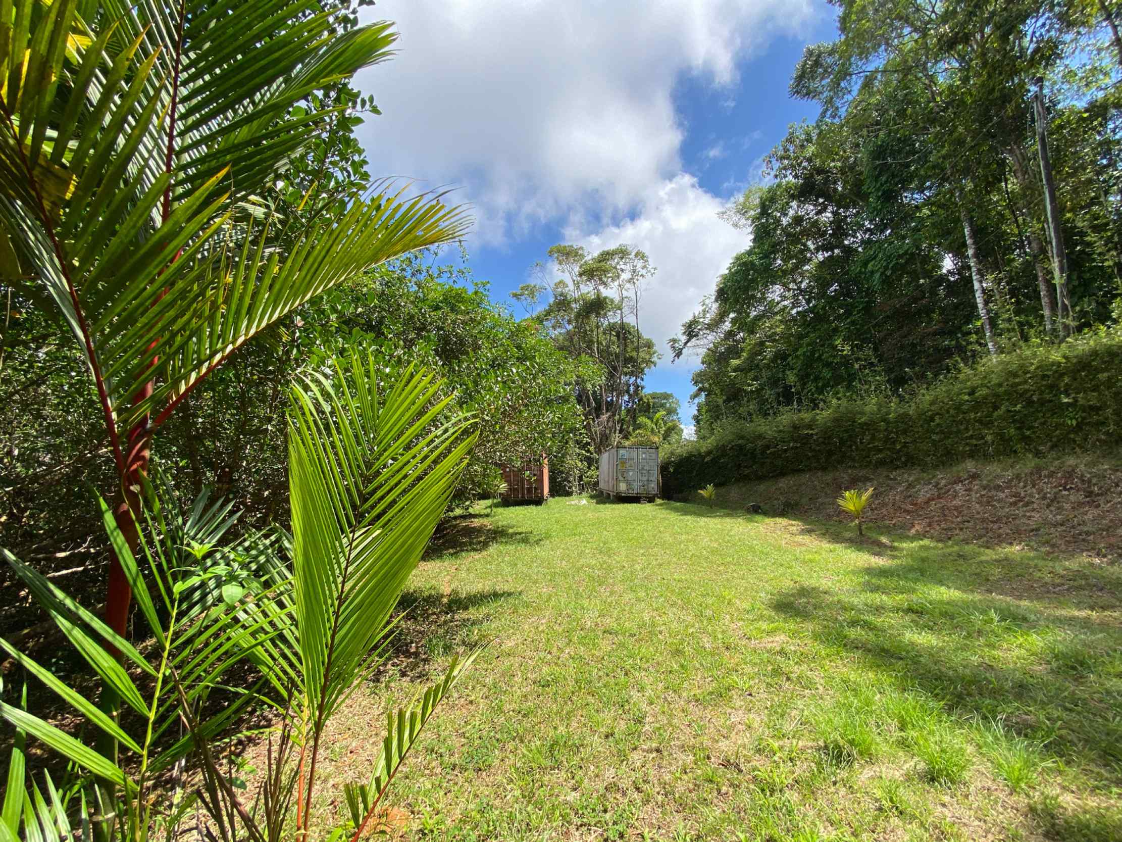 66672-33 Secluded 1-Bedroom Jungle Cabin with Mountain Views & 2.5 Acres in Tinamastes Costa Rica