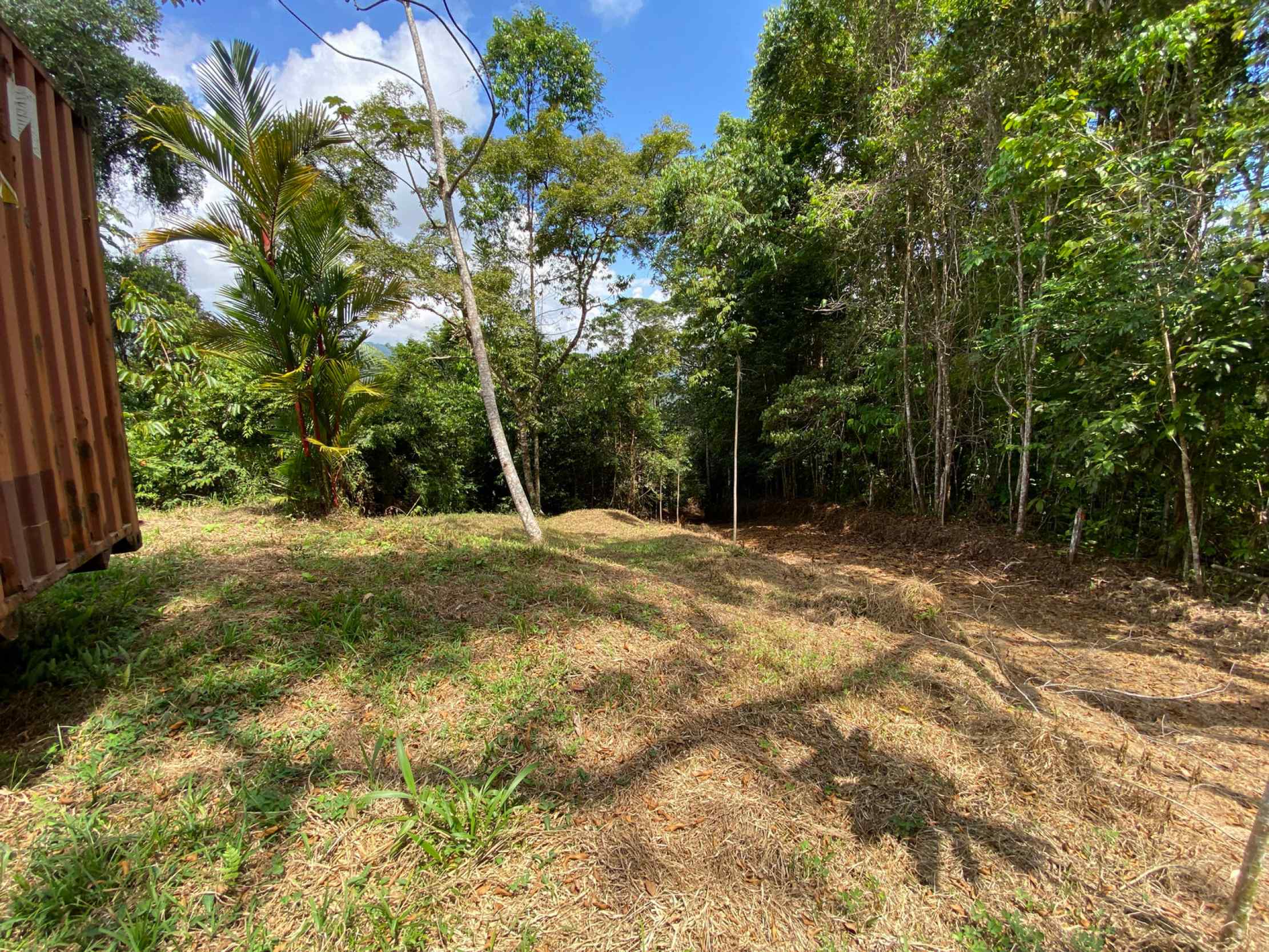 66672-35 Secluded 1-Bedroom Jungle Cabin with Mountain Views & 2.5 Acres in Tinamastes Costa Rica