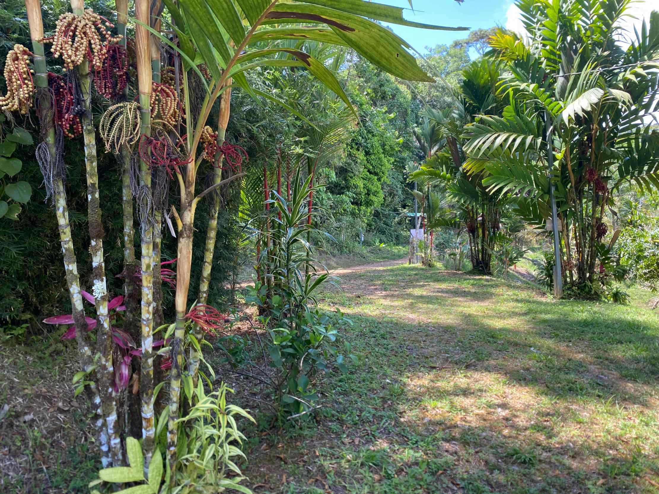66672-37 Secluded 1-Bedroom Jungle Cabin with Mountain Views & 2.5 Acres in Tinamastes Costa Rica