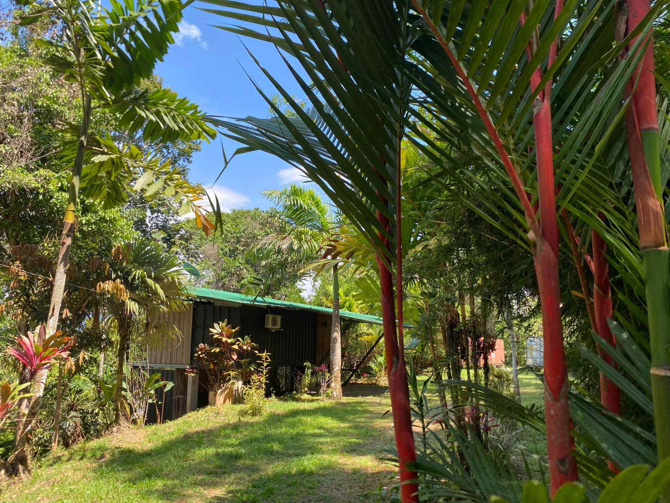 66672-38 Secluded 1-Bedroom Jungle Cabin with Mountain Views & 2.5 Acres in Tinamastes Costa Rica