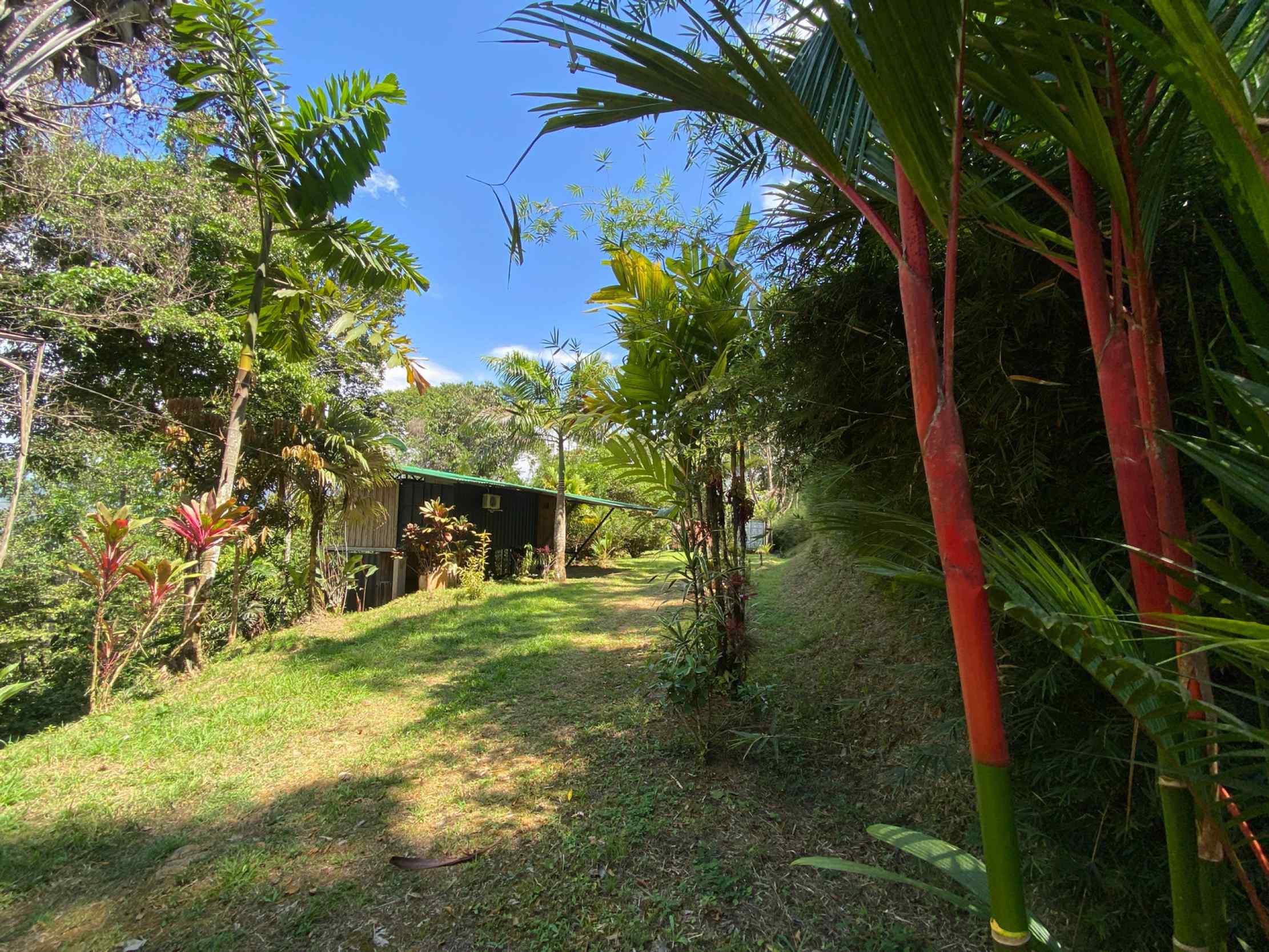 66672-39 Secluded 1-Bedroom Jungle Cabin with Mountain Views & 2.5 Acres in Tinamastes Costa Rica