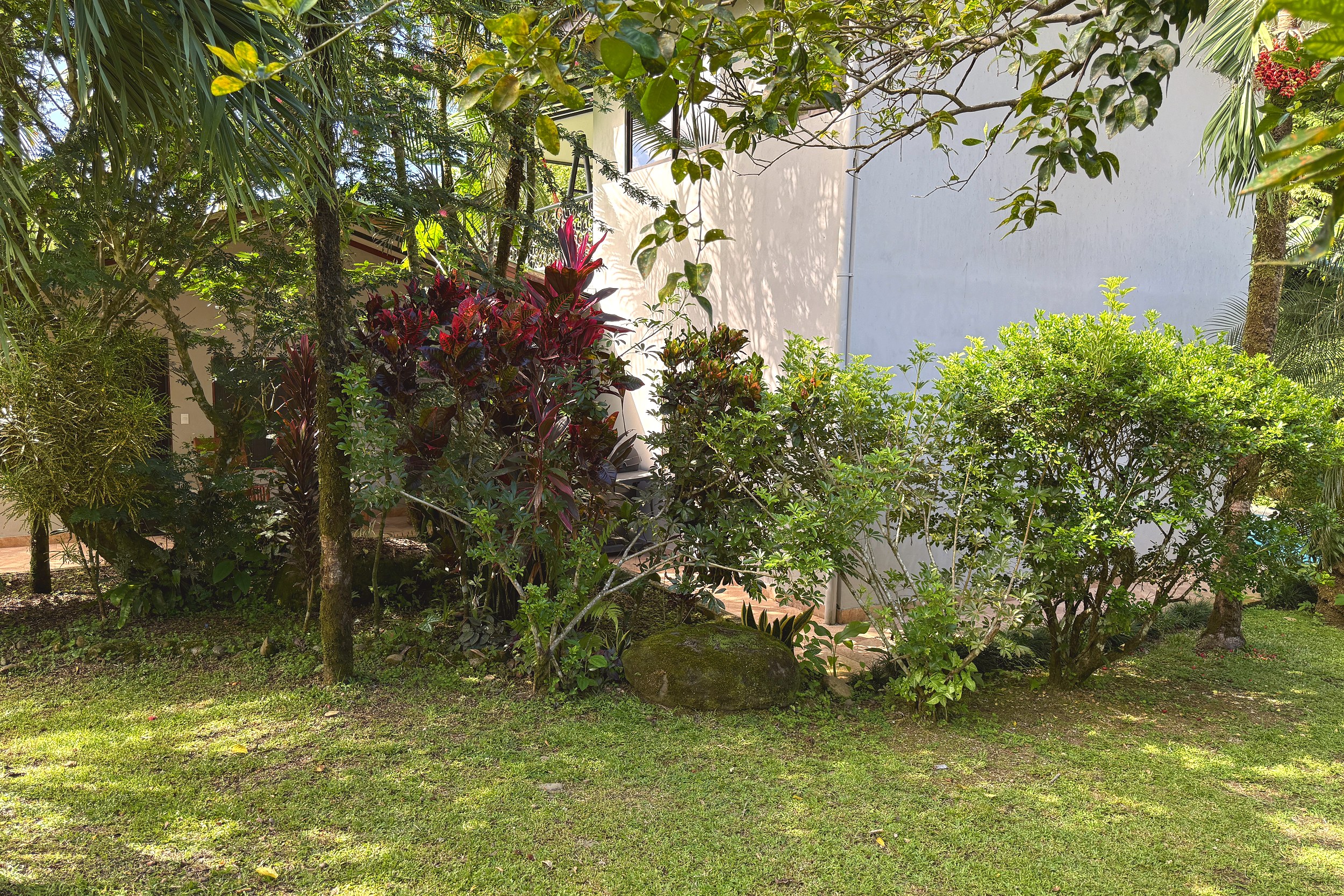 Lush Tropical Garden Jungle Sanctuary lush garden with tropical plants and shaded lawn in Ojochal, Costa Rica