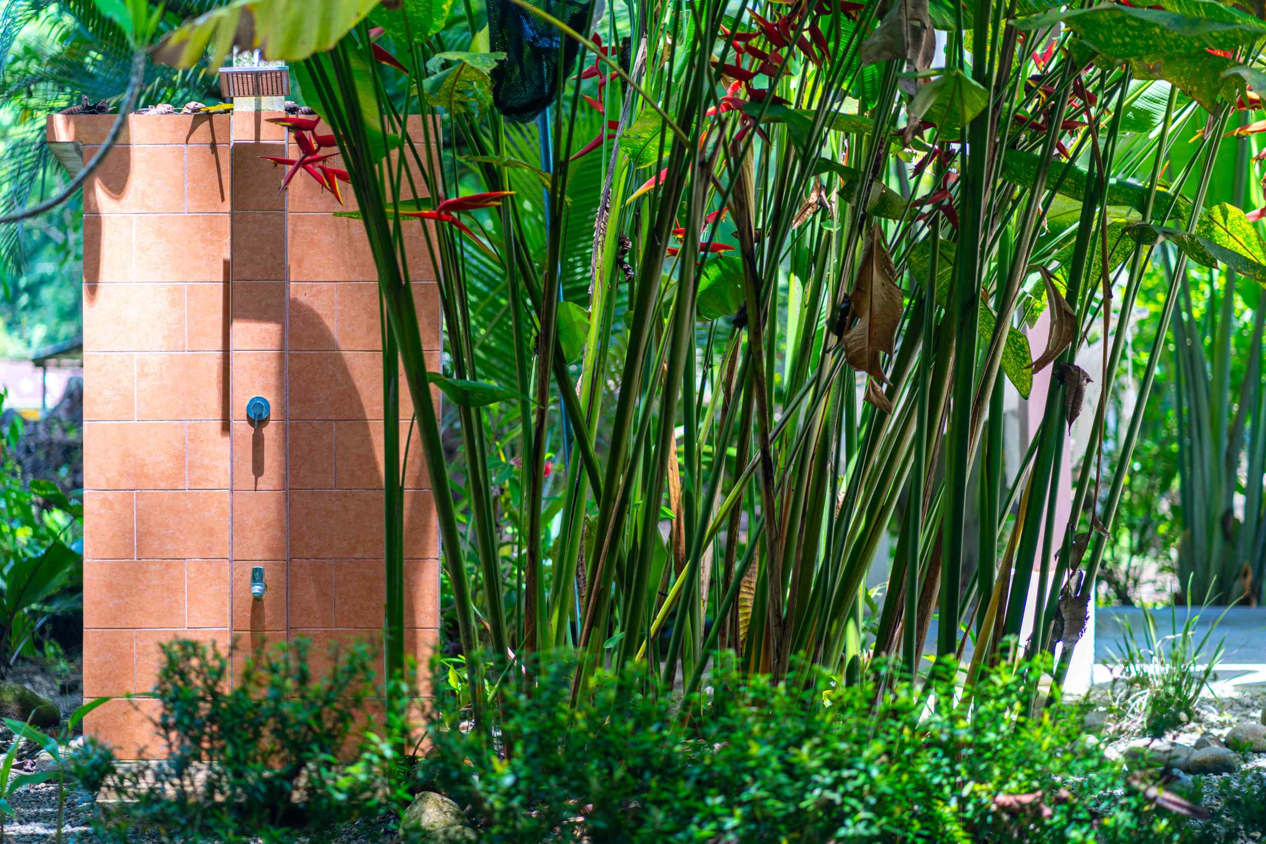 71880-9 Charming 1-Bedroom Modern Casita with Saltwater Pool & Jungle Views in Ojochal Costa Rica