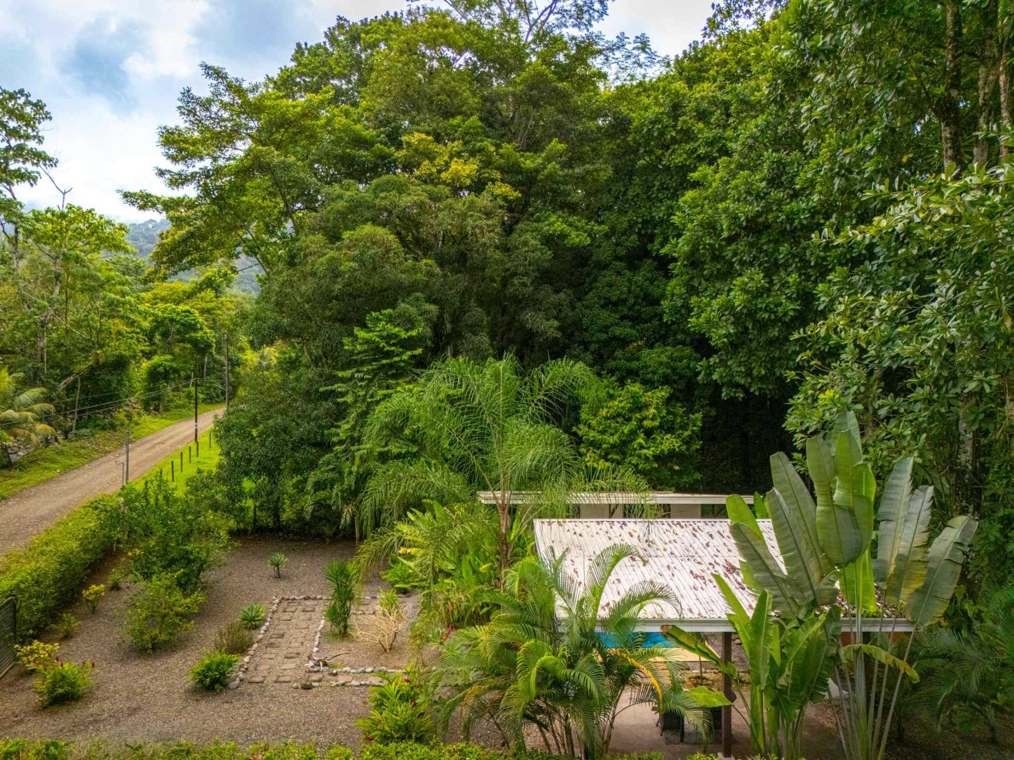 Charming 1-Bedroom Modern Casita with Saltwater Pool & Jungle Views in Ojochal Costa Rica