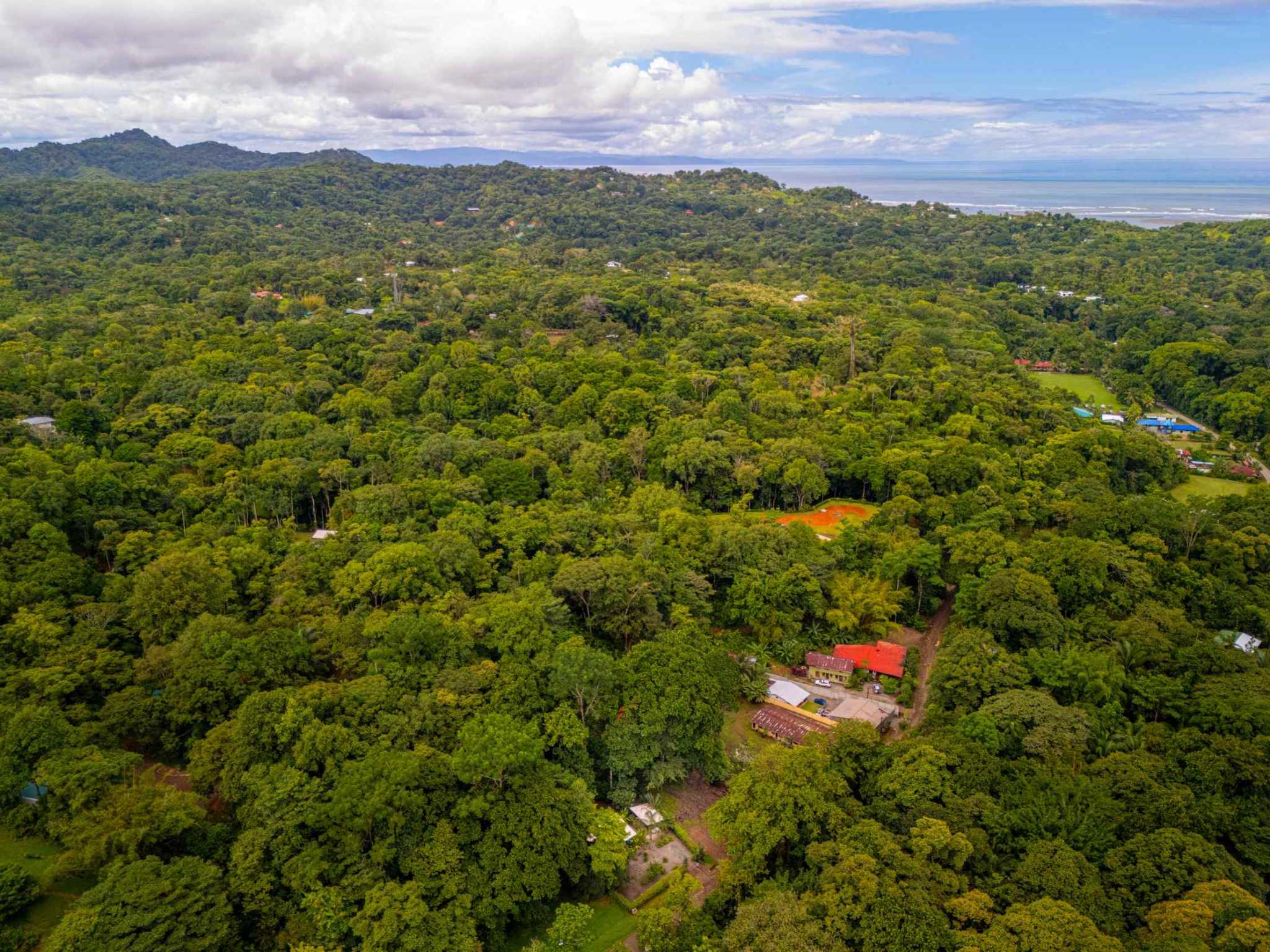 Charming 1-Bedroom Modern Casita with Saltwater Pool & Jungle Views in Ojochal Costa Rica