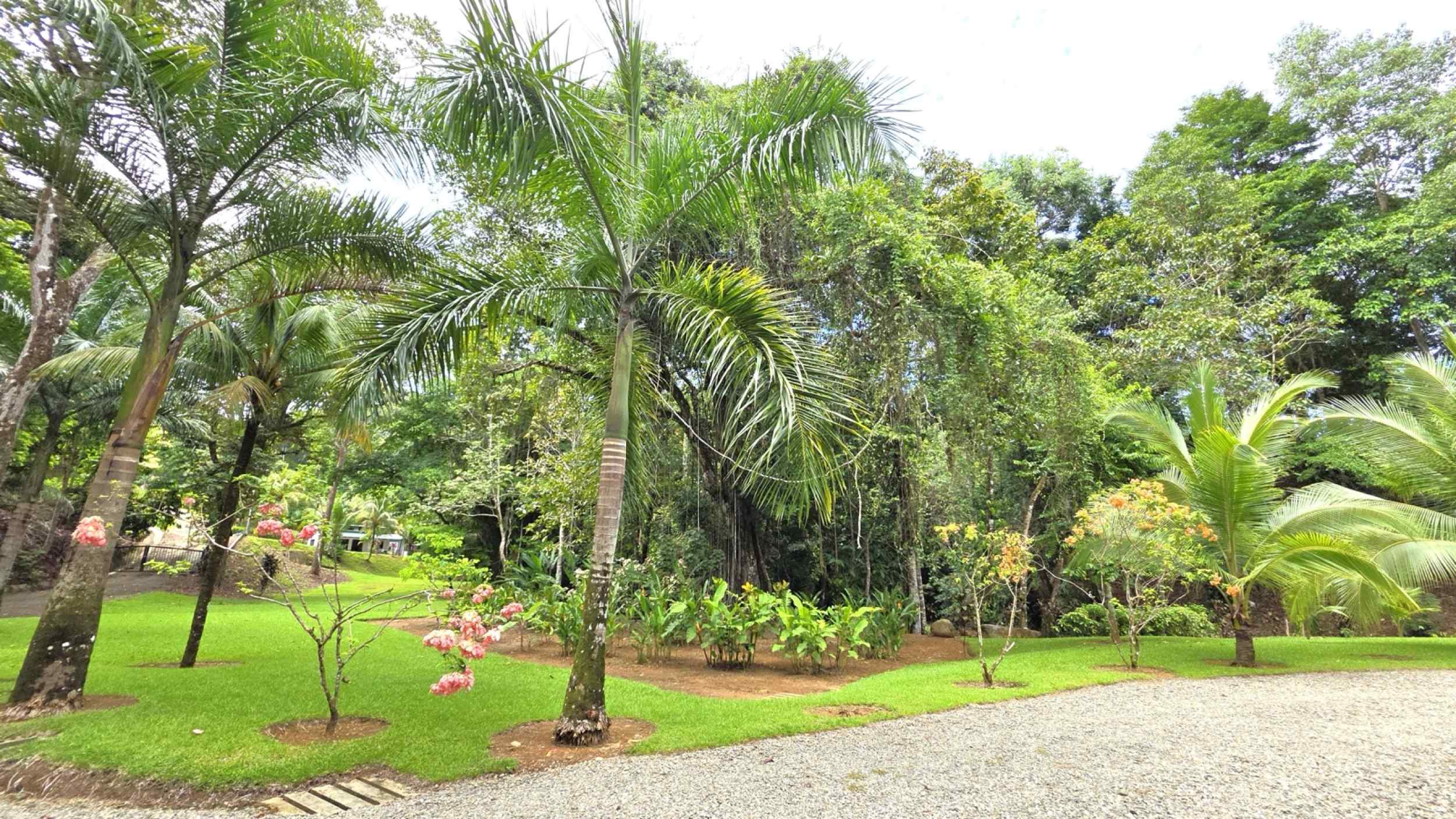 Refreshing 3-Bedroom Riverfront Retreat with Private Pool & Lush Gardens in Ojochal Costa Rica