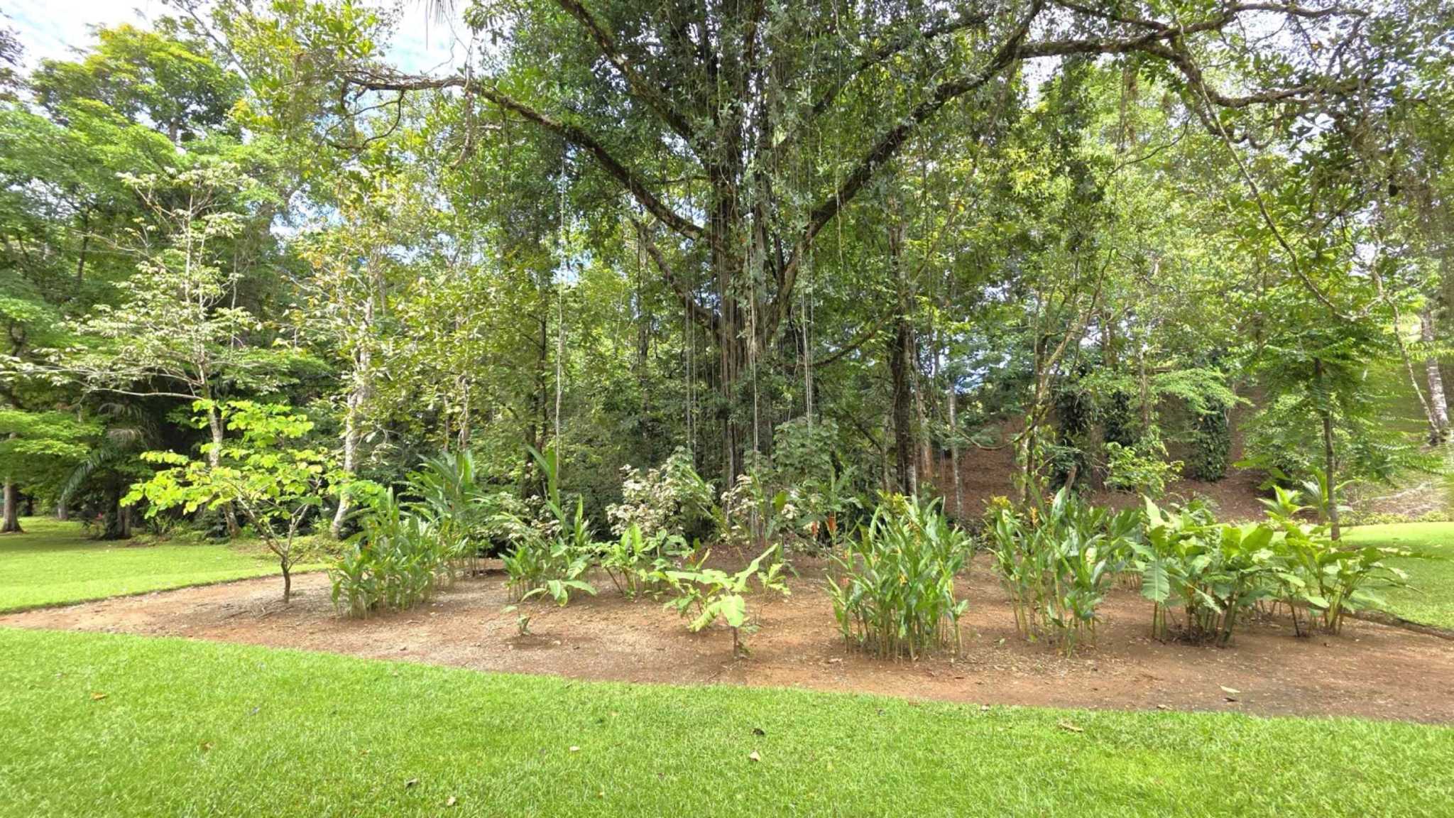 71986-5 Refreshing 3-Bedroom Riverfront Retreat with Private Pool & Lush Gardens in Ojochal Costa Rica