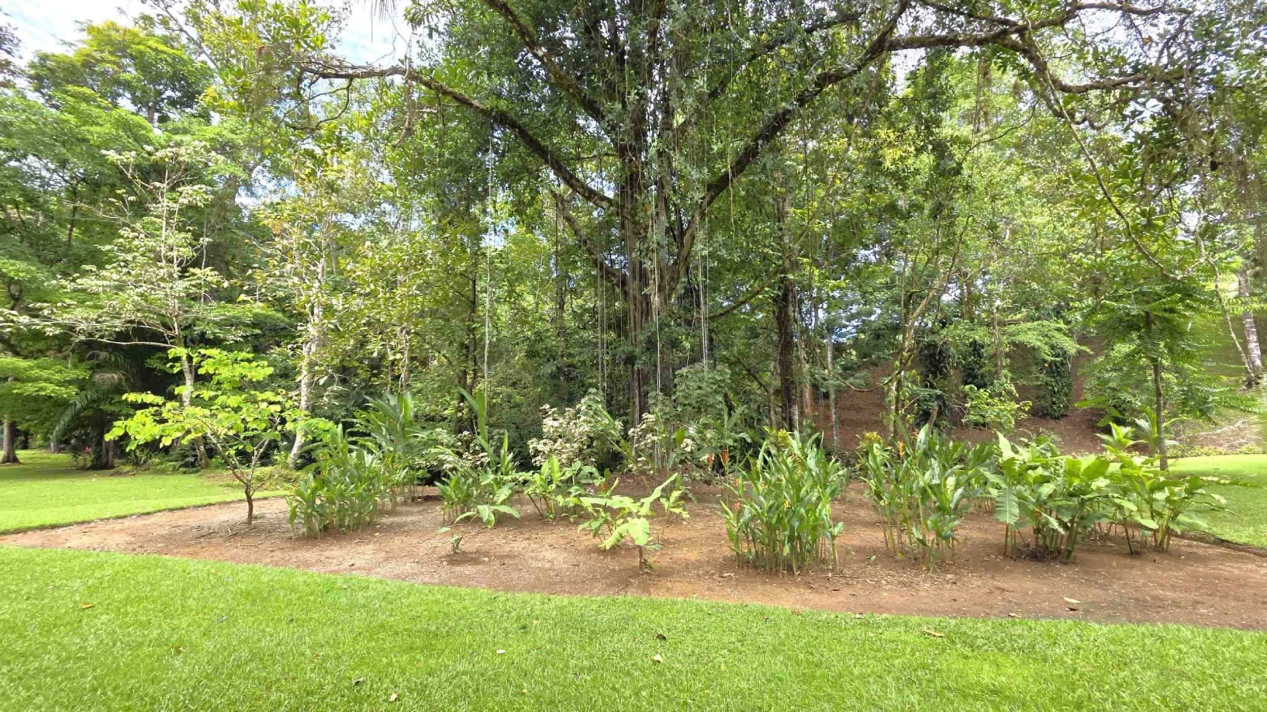 Refreshing 3-Bedroom Riverfront Retreat with Private Pool & Lush Gardens in Ojochal Costa Rica