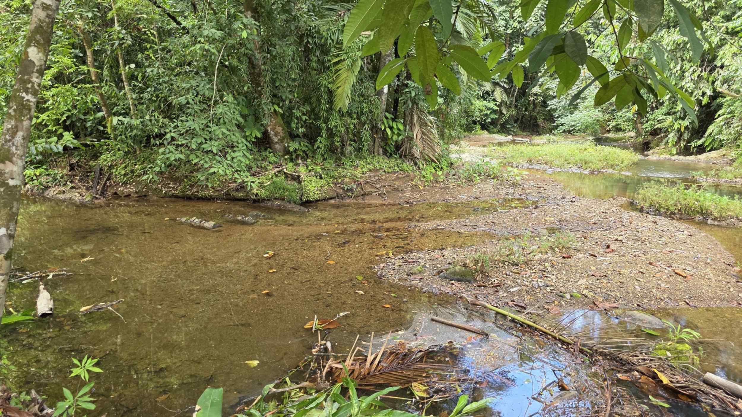 Refreshing 3-Bedroom Riverfront Retreat with Private Pool & Lush Gardens in Ojochal Costa Rica