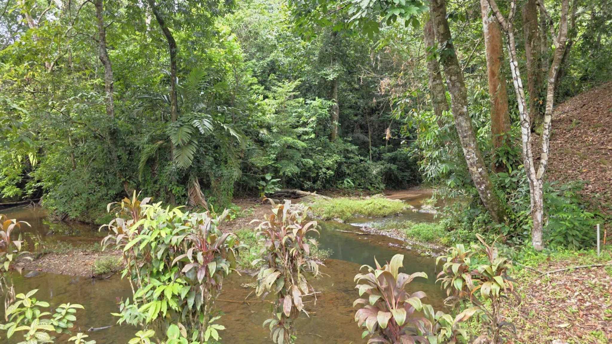 71986-7 Refreshing 3-Bedroom Riverfront Retreat with Private Pool & Lush Gardens in Ojochal Costa Rica