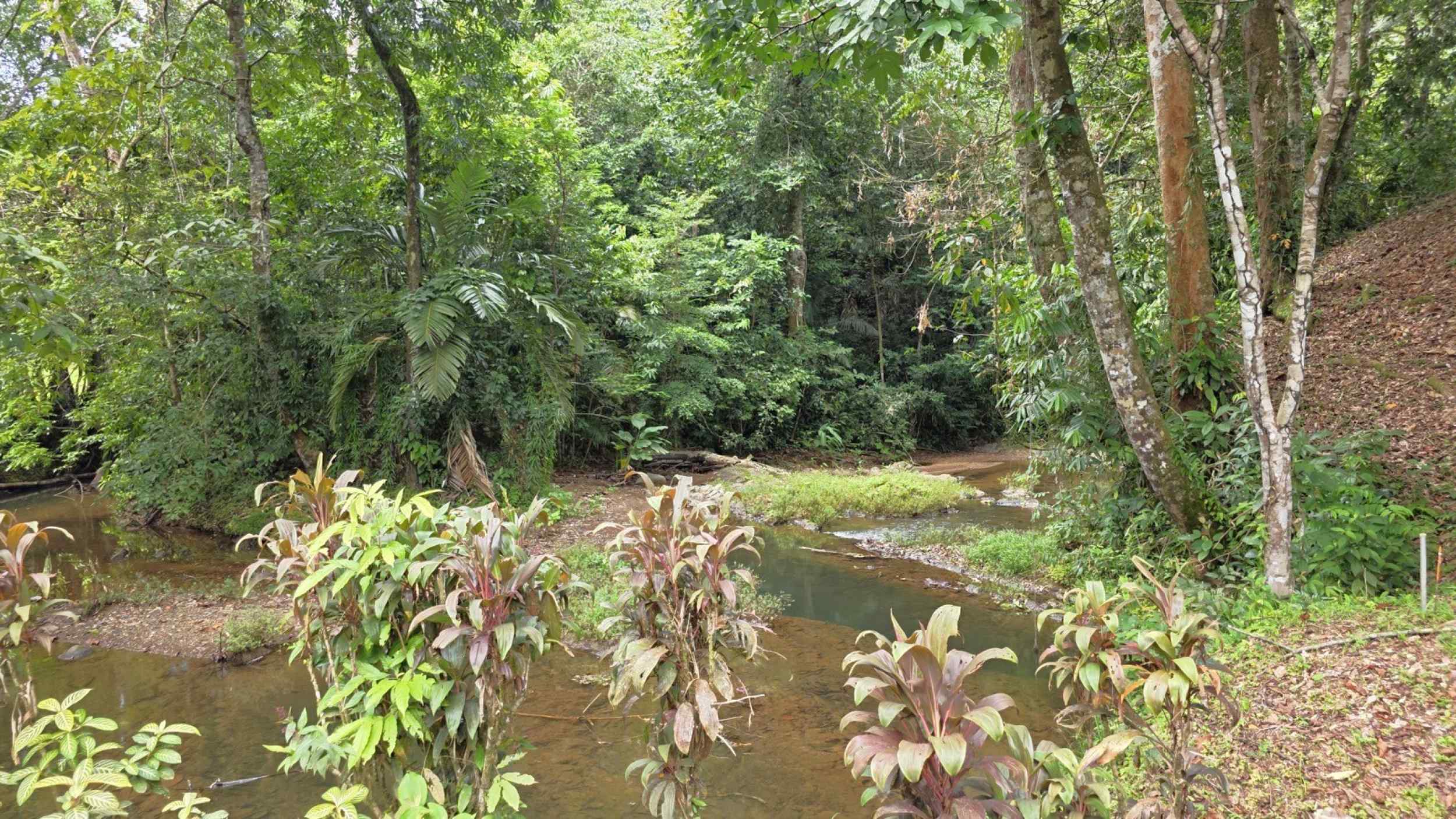 Refreshing 3-Bedroom Riverfront Retreat with Private Pool & Lush Gardens in Ojochal Costa Rica
